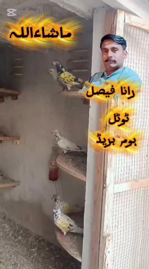 @Rana Faisal