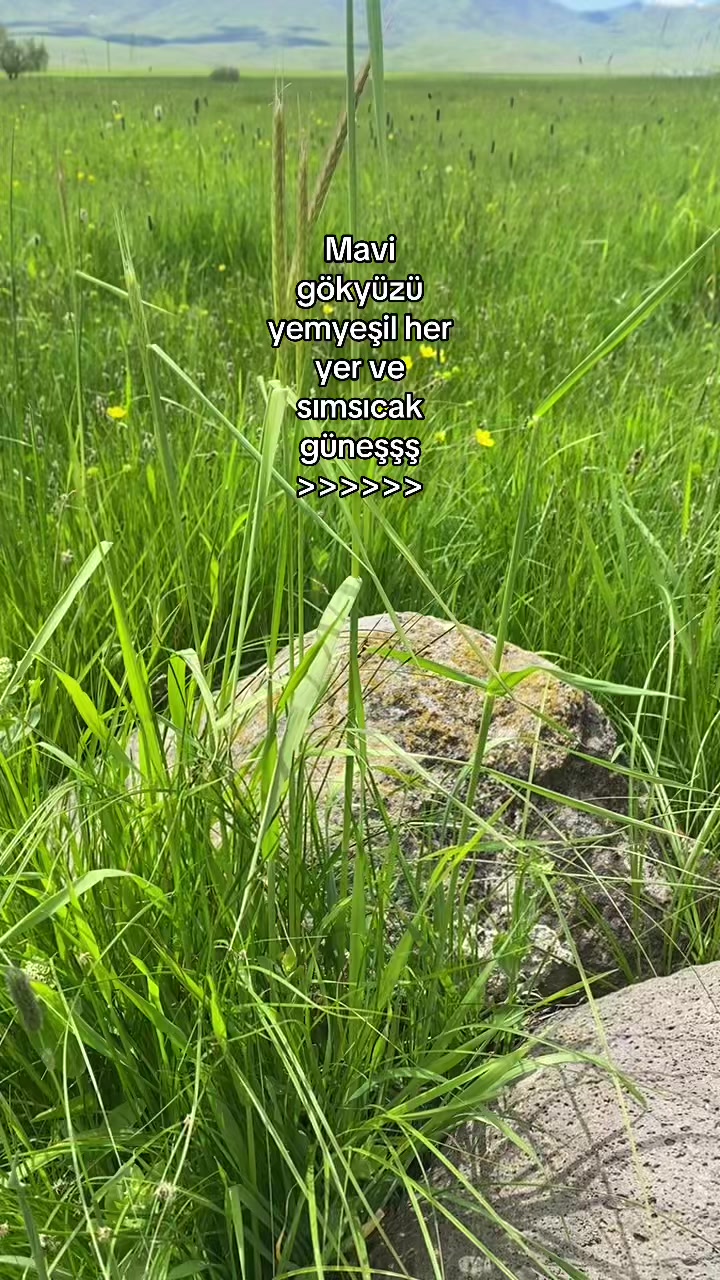 @Buseee