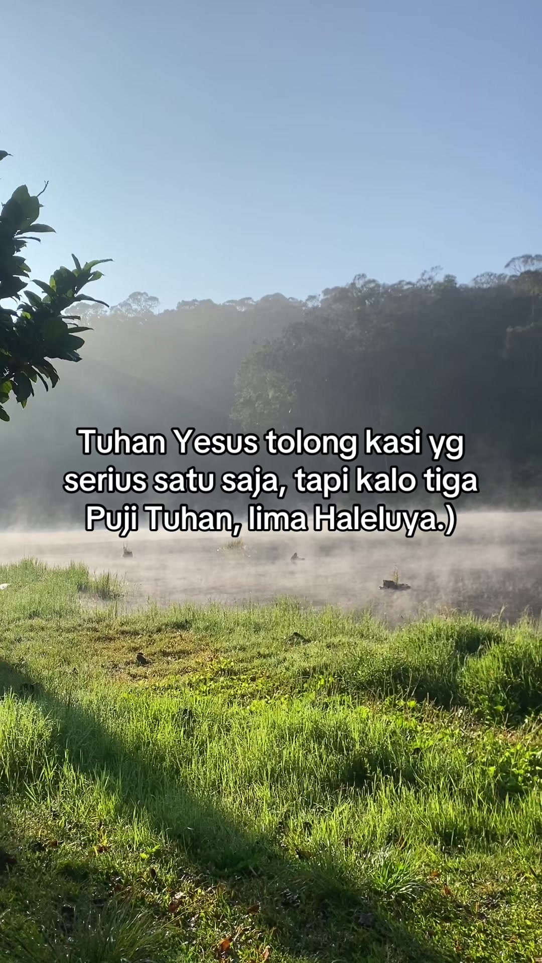 @Pro-tes-tan✝️
