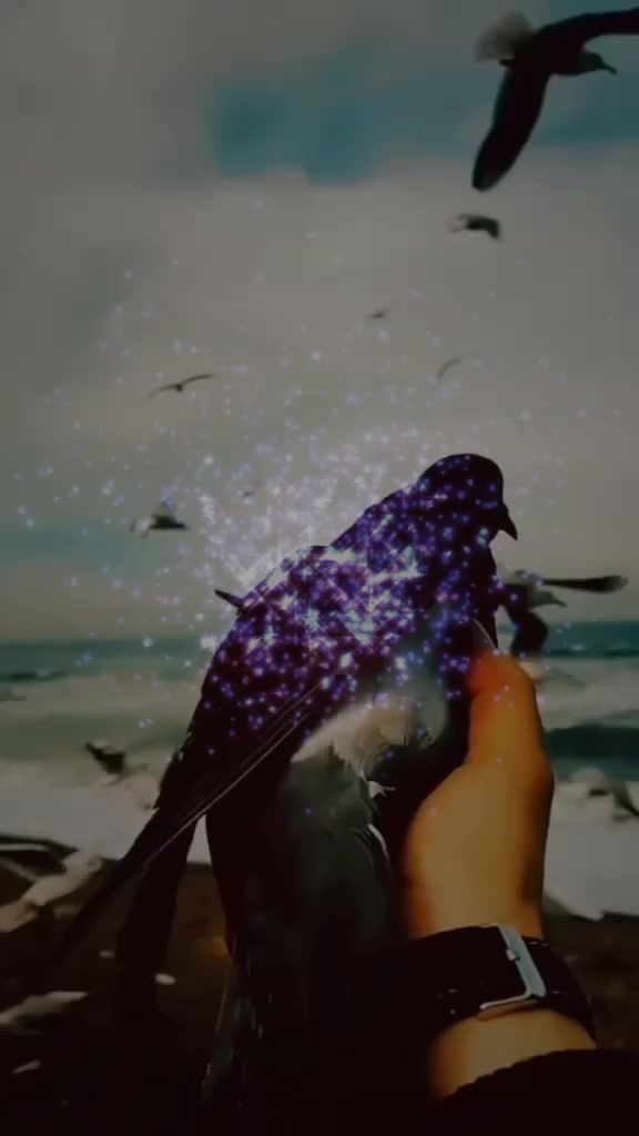 @arushay๐น๐ฅ