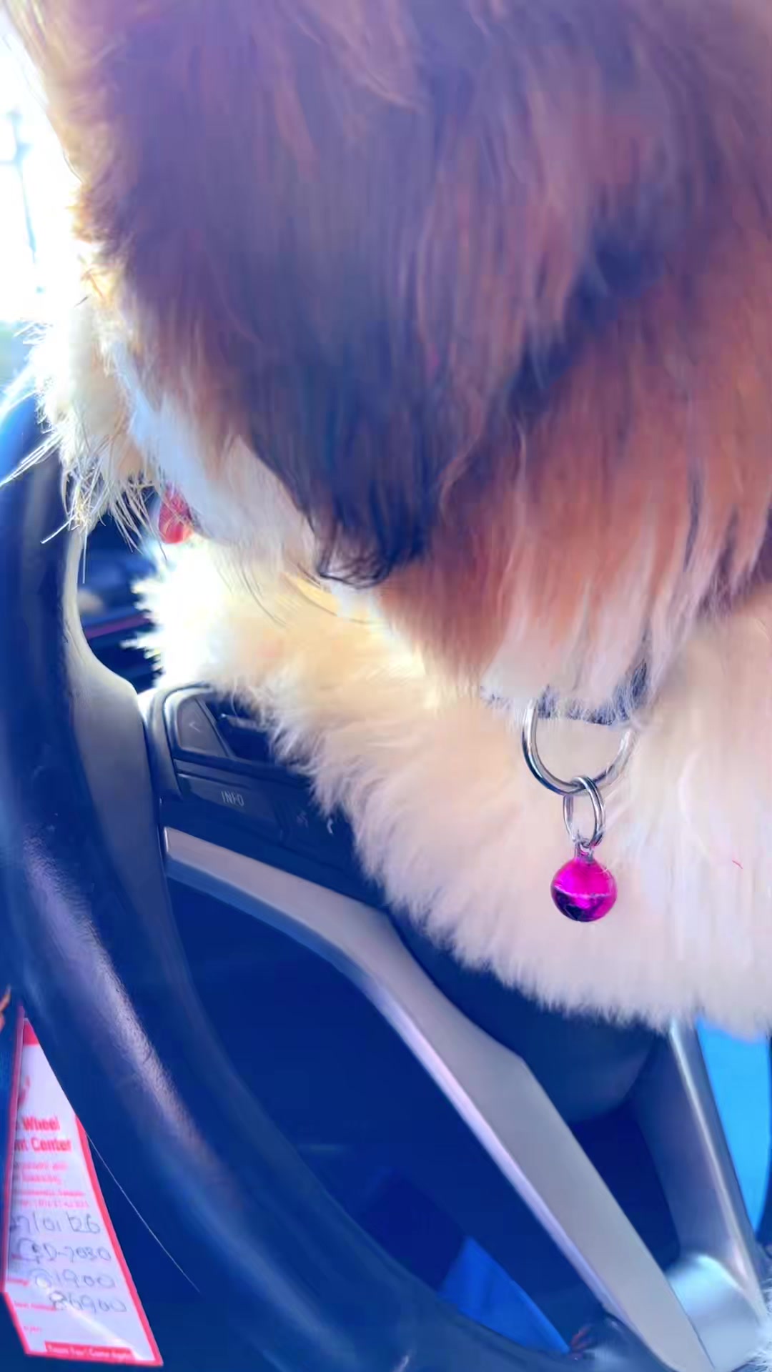@𝙽𝙴𝙴𝙻 𝙹𝙰𝚈𝙰 💓