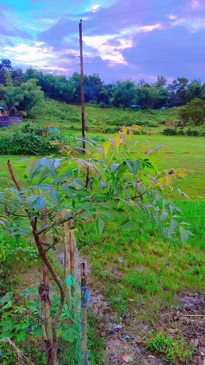 @🦋🦋দ্বীপান্বিতা🦋🦋
