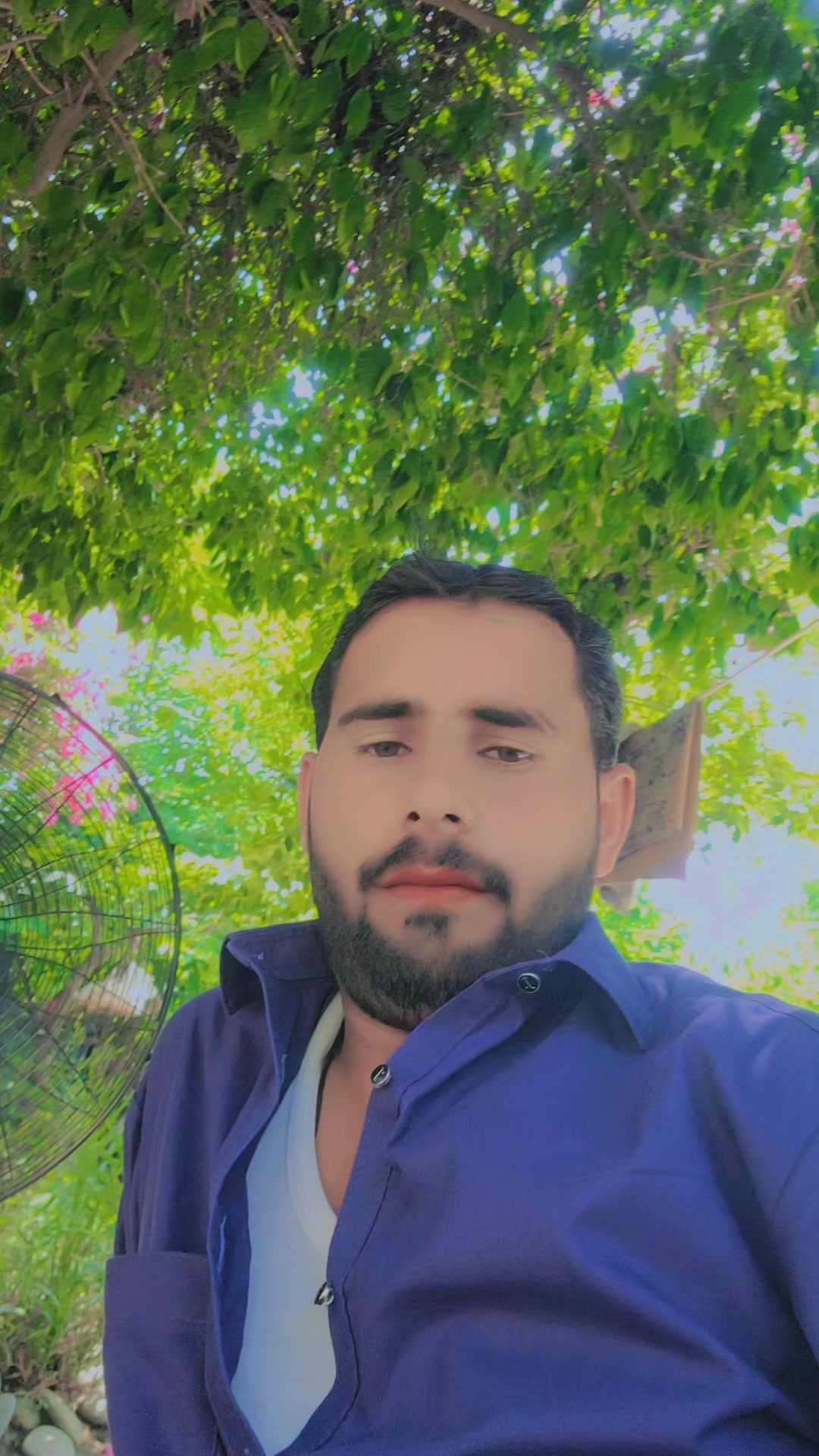 @Shahab Ali Shah