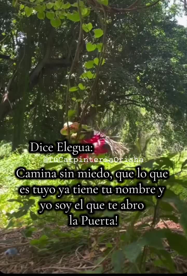 @Oshe Otura