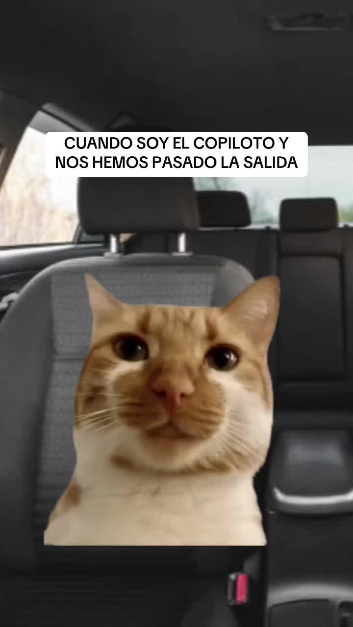 @Mario Delnido