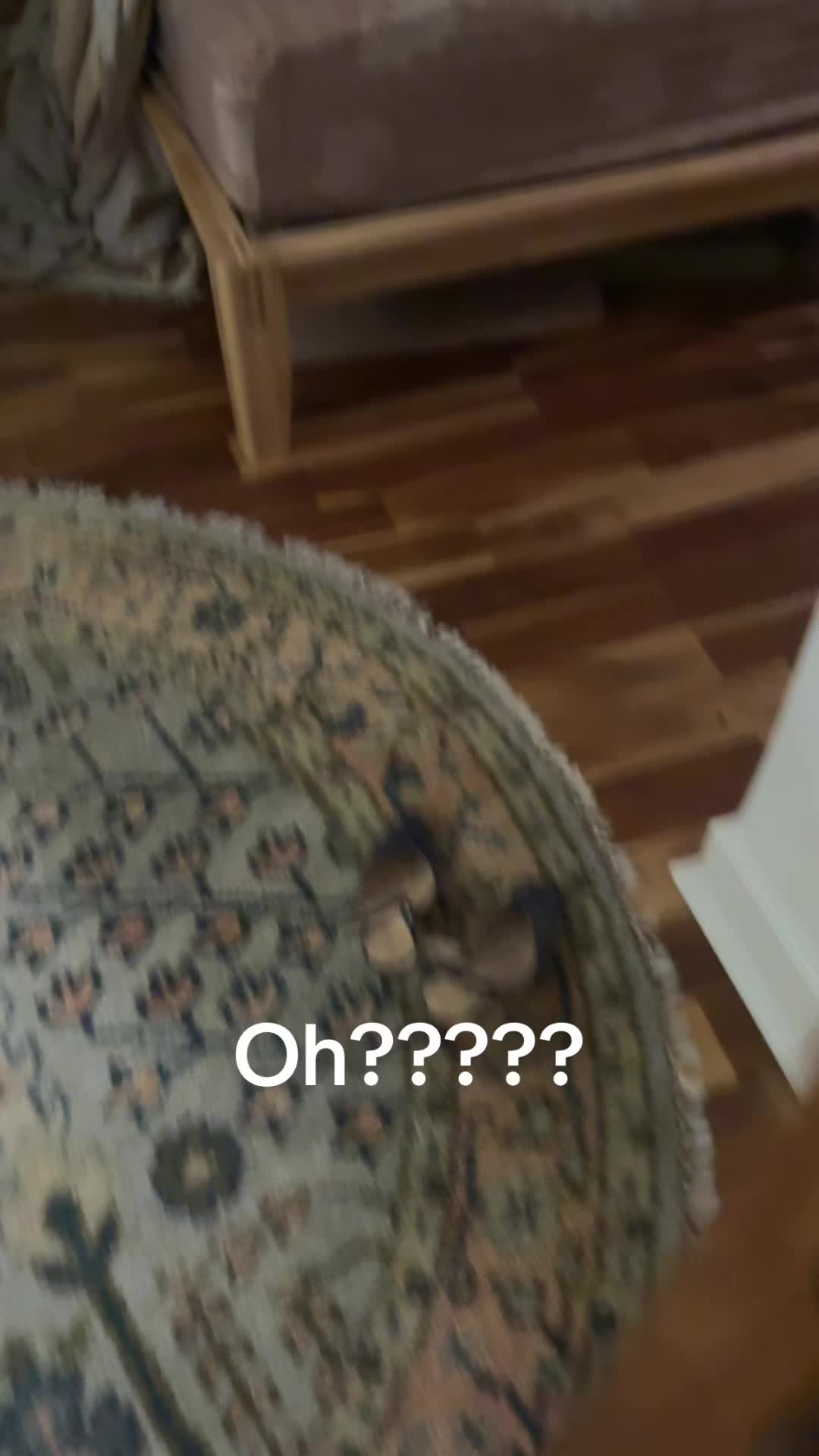 @itsmeimaudrey