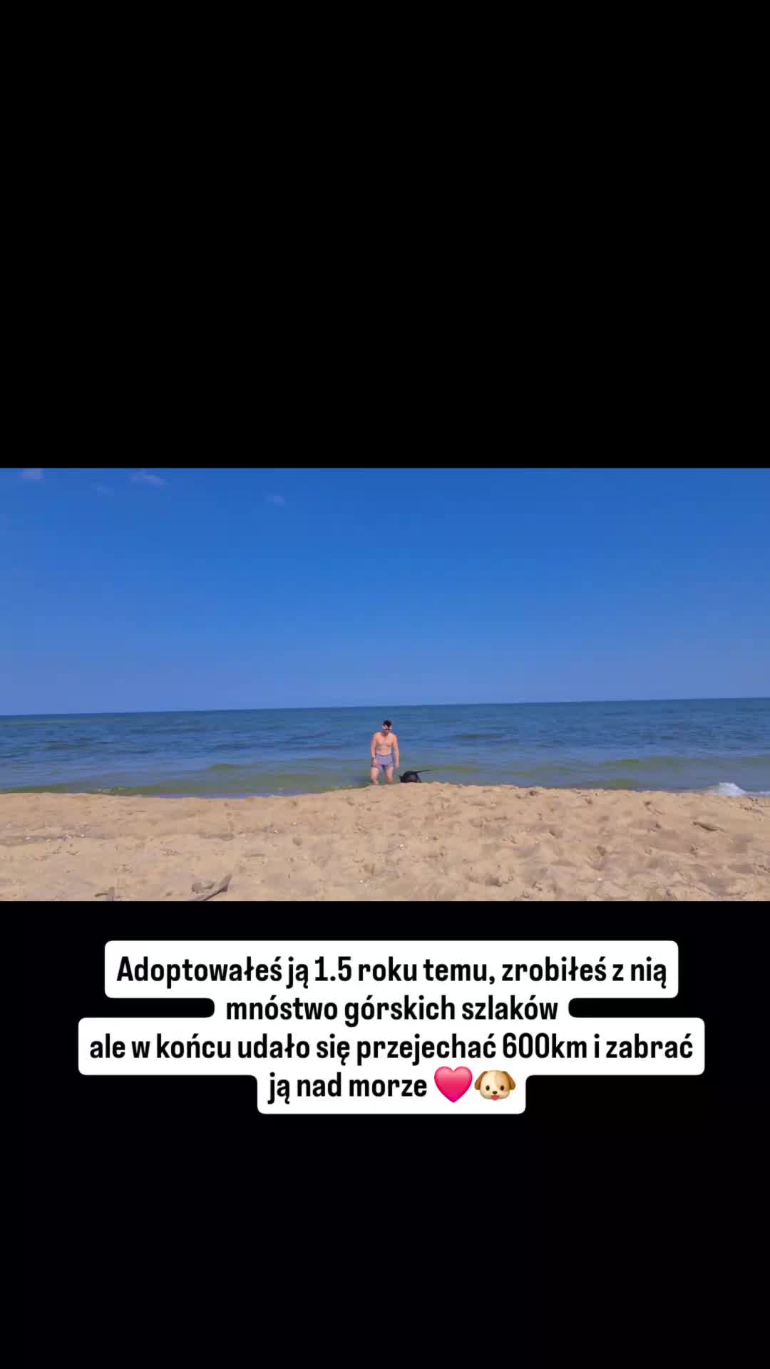 @przyBULLski