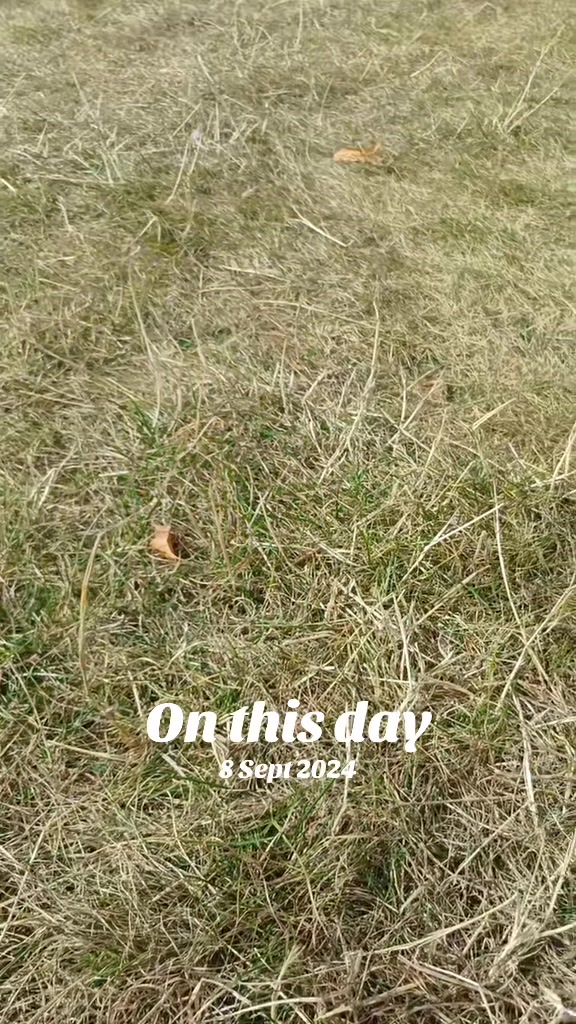 @yorkshirelassuk