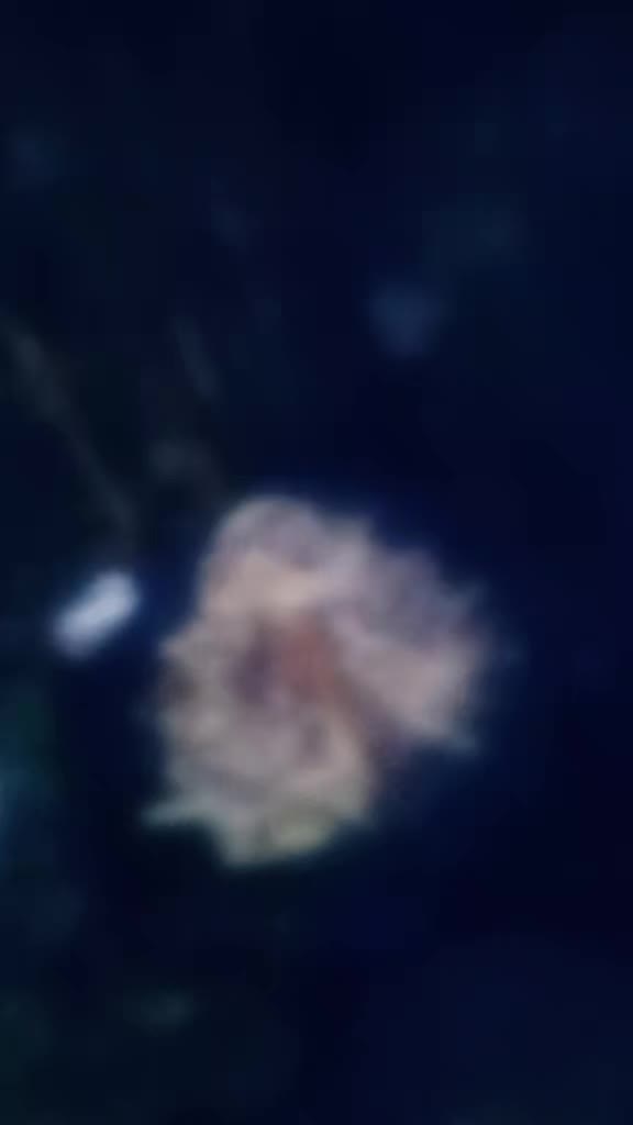 @user5101800652873