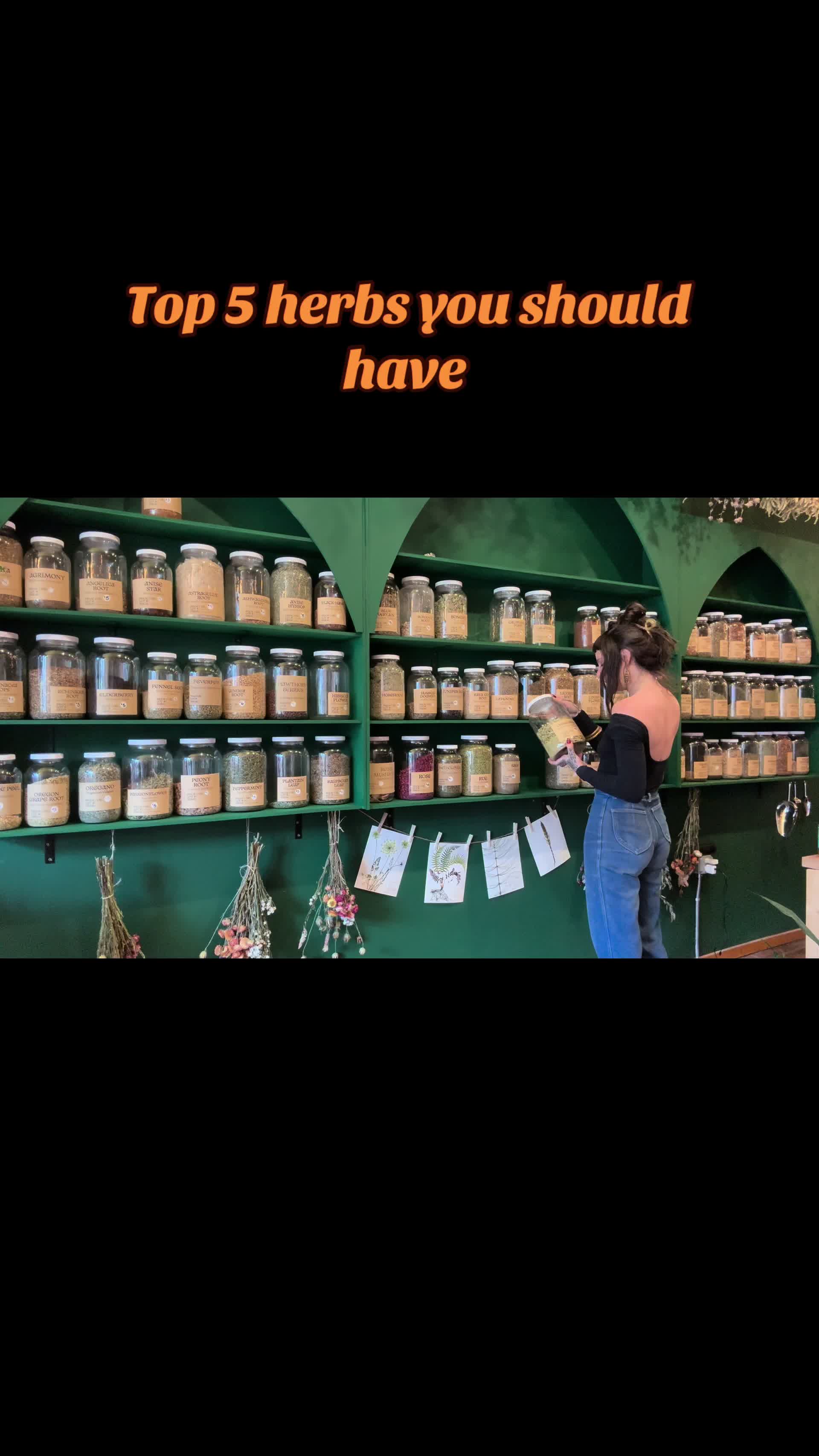@bloodroot.apothecary