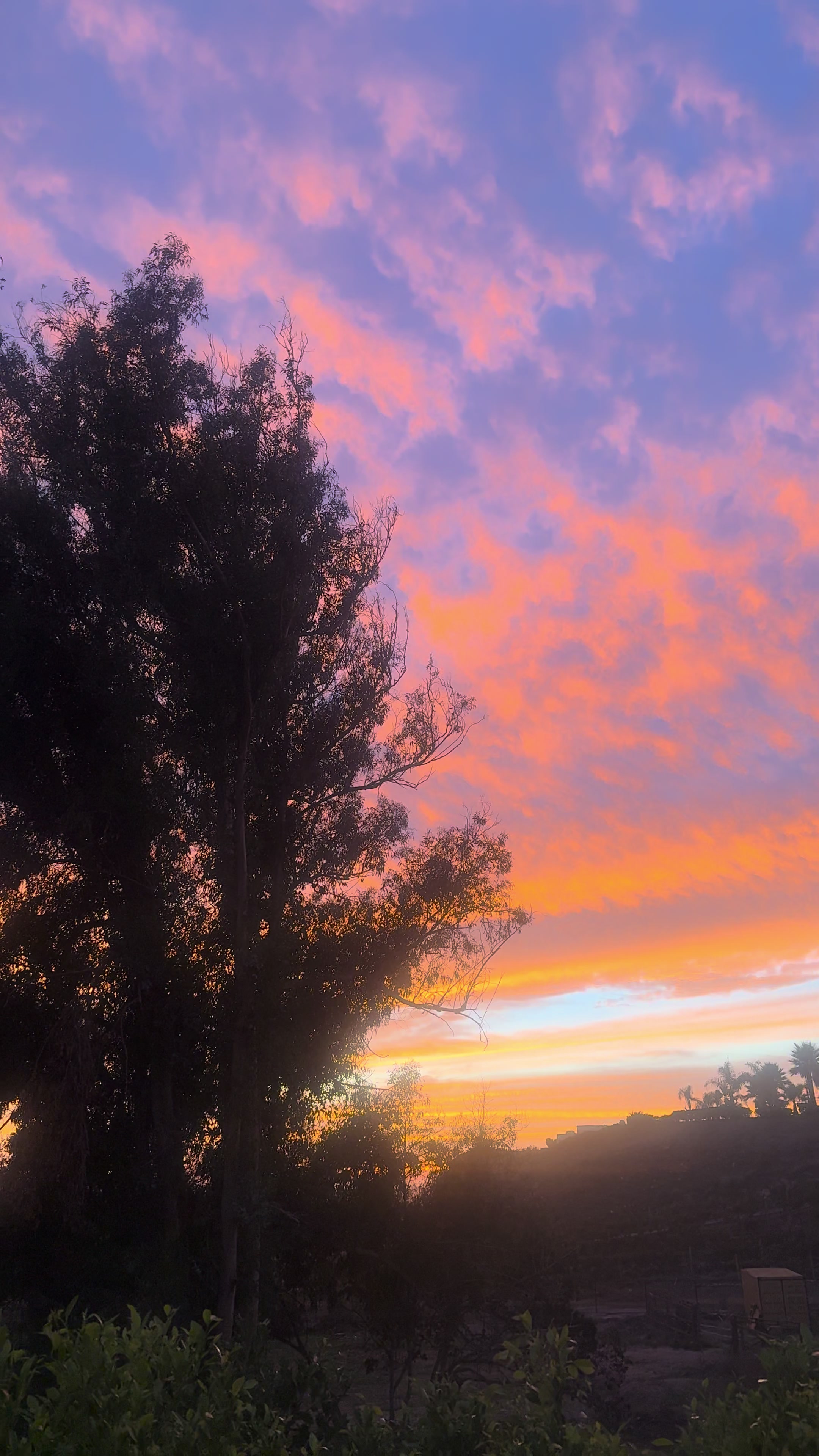 @Los &Aacute;ngeles California 🌴🏙️