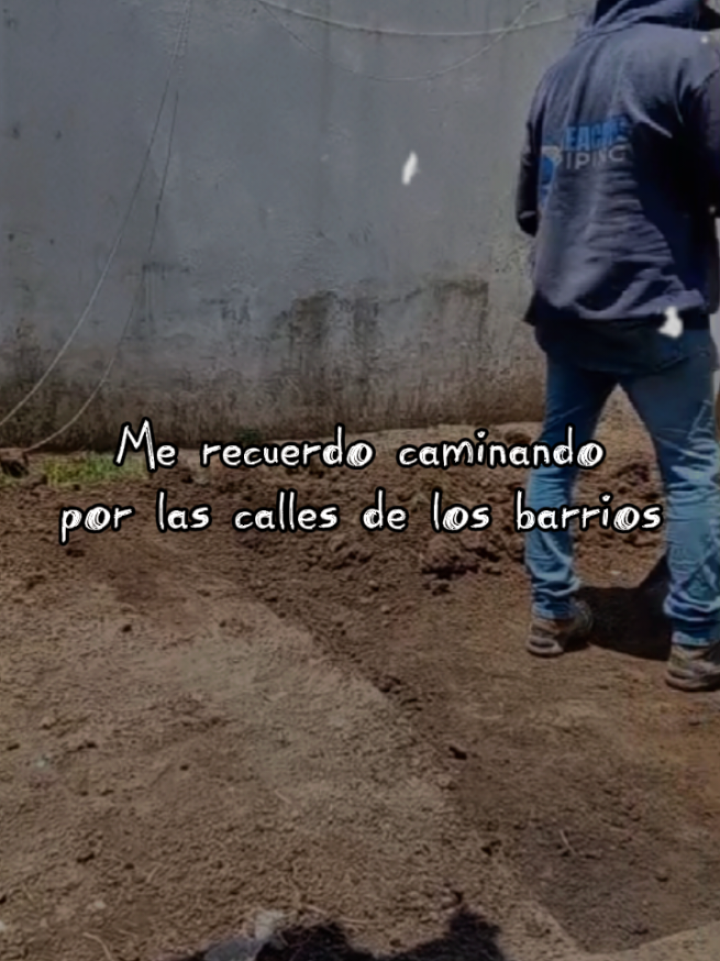 @Gustavo Guzmán Gil