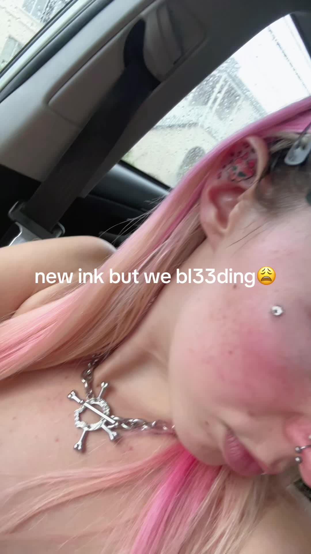 @meowgrlll🪽