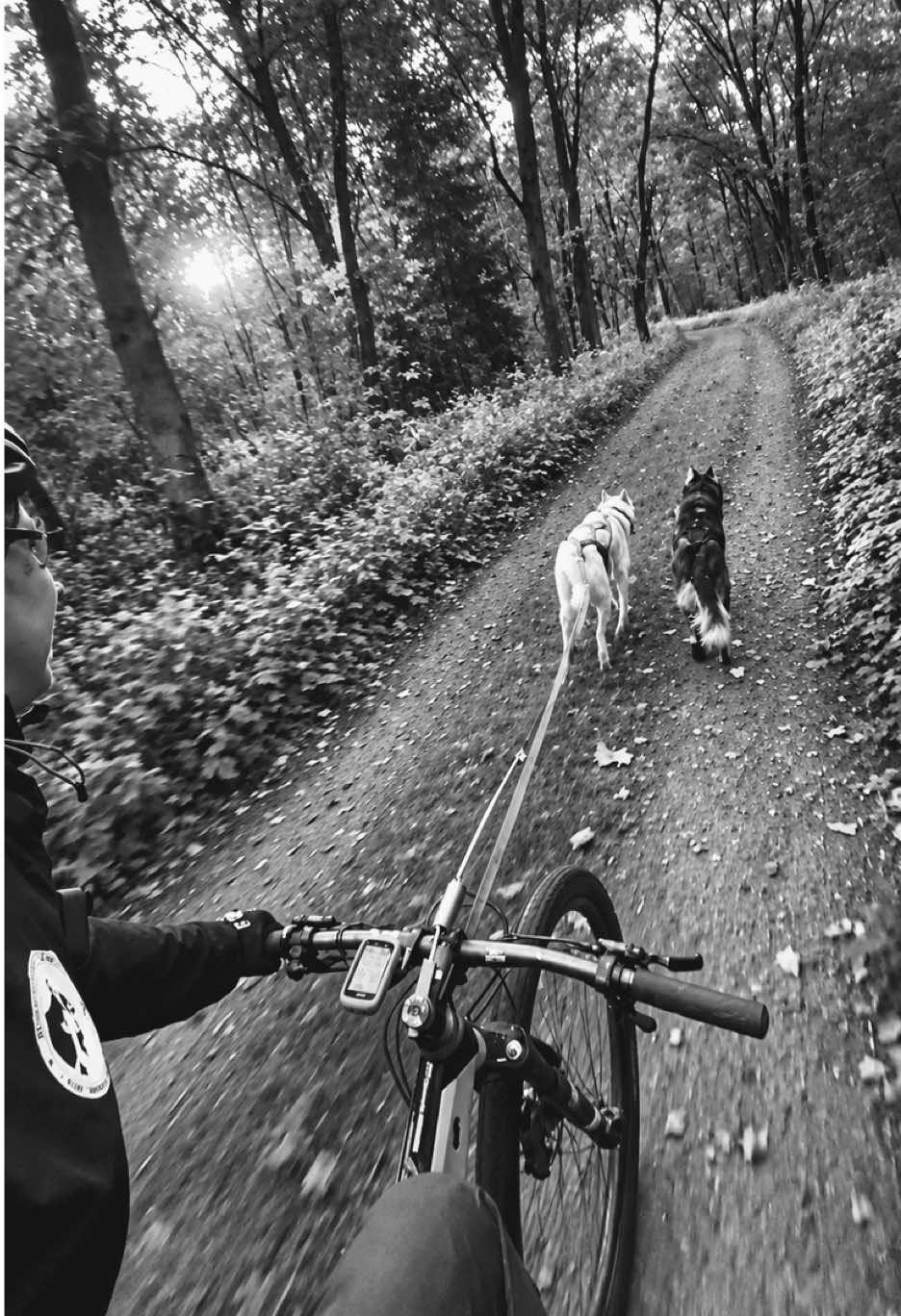 @Agnieszka Ignaszak bikejoring