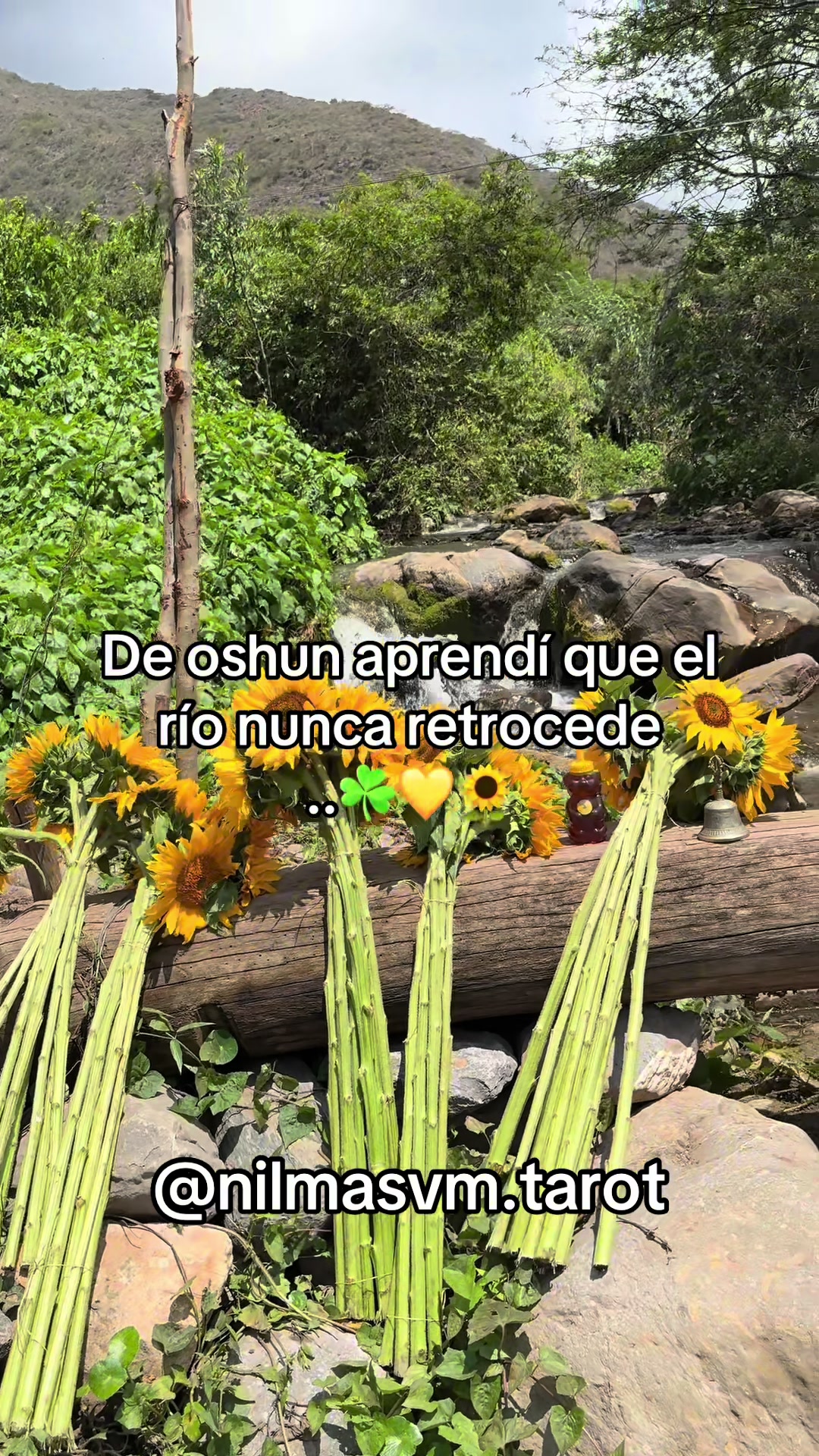 @Nilmasvm 🍓