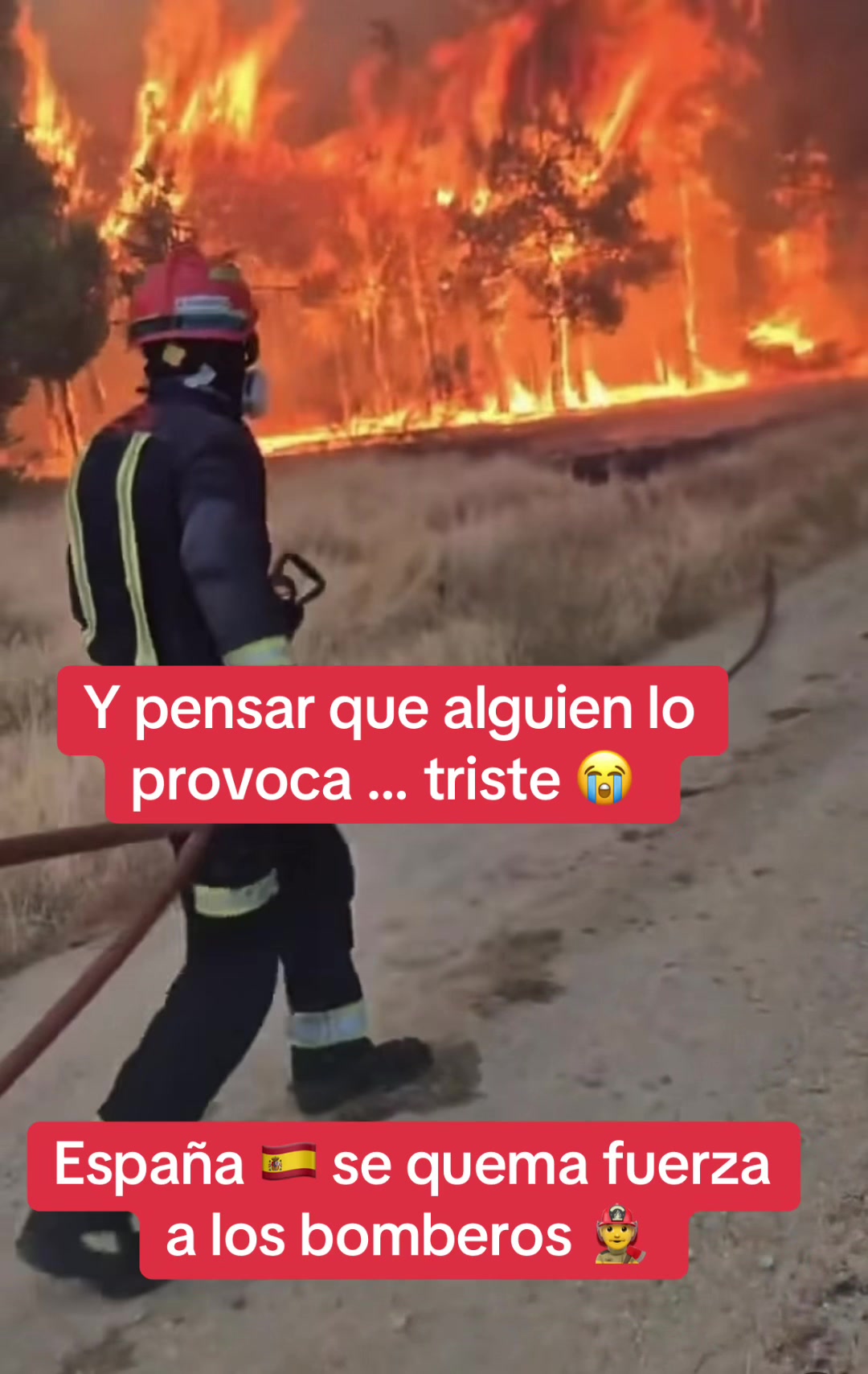 @Fran Jara