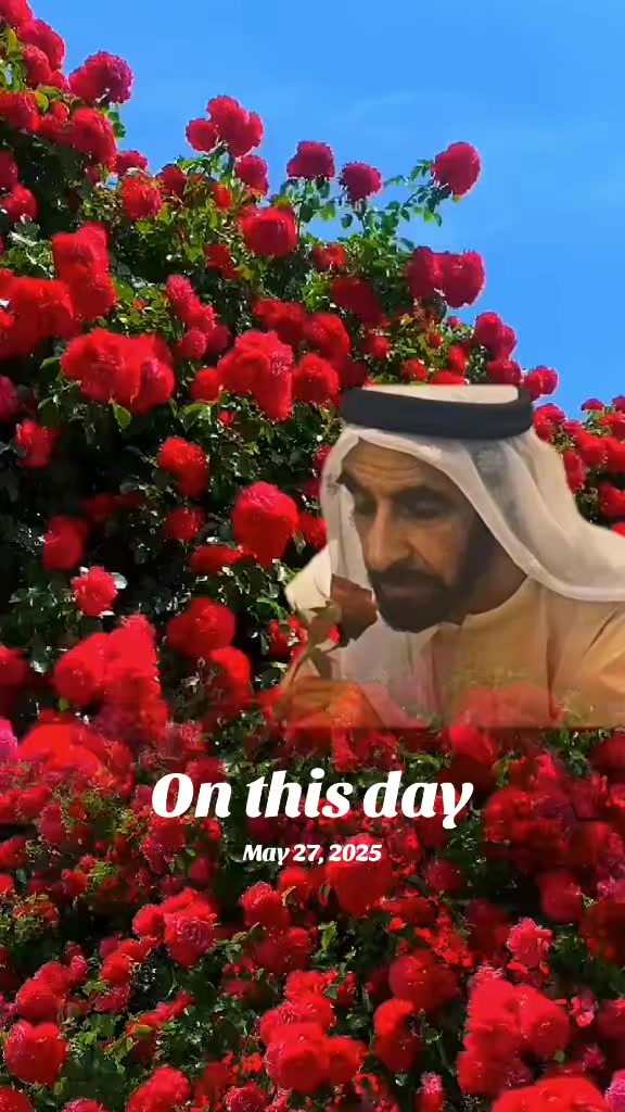 @saddam khain