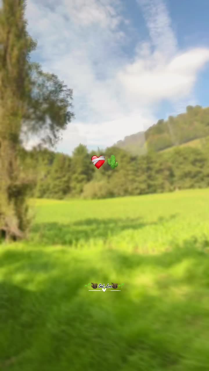 @🌱🦥Sel Lm🦥🌱