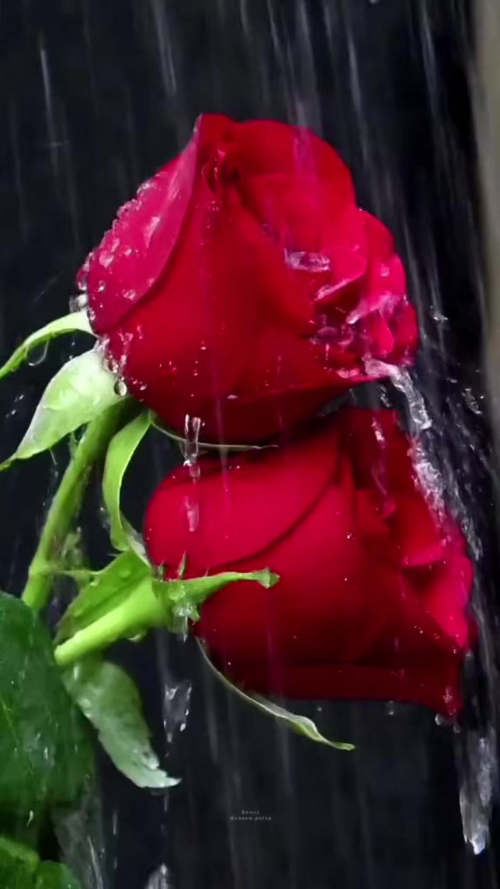 @Lubnna0418