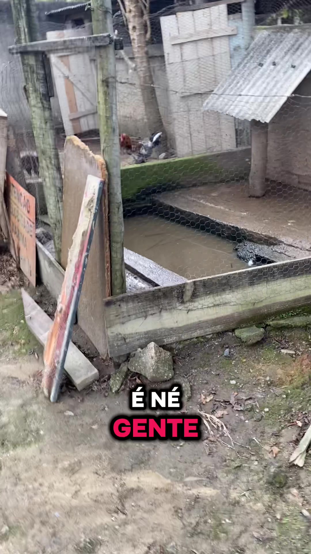 @gordimvideos