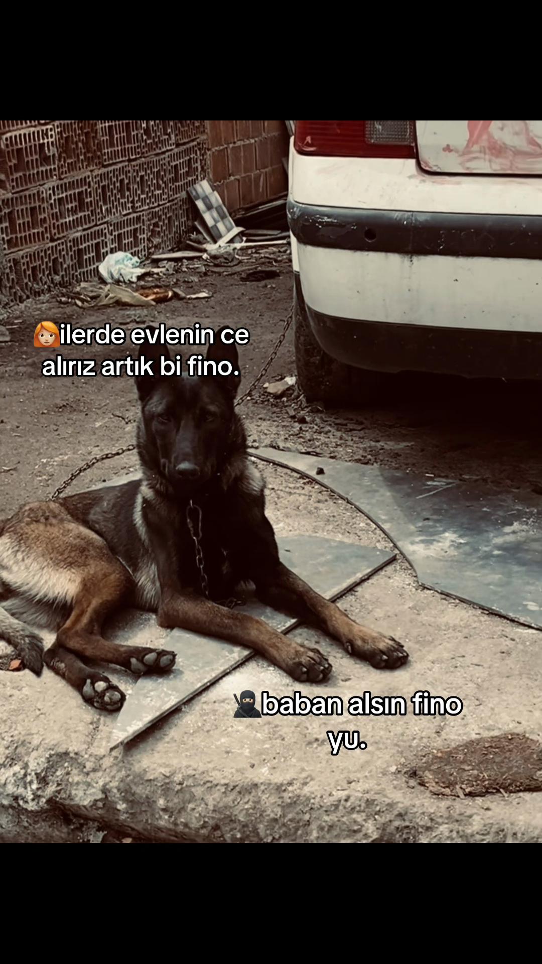 @ballı_wiski🥷🥷