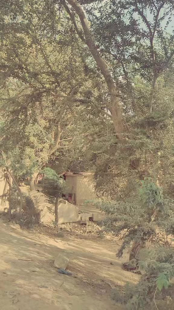 @302.king .pakistan .