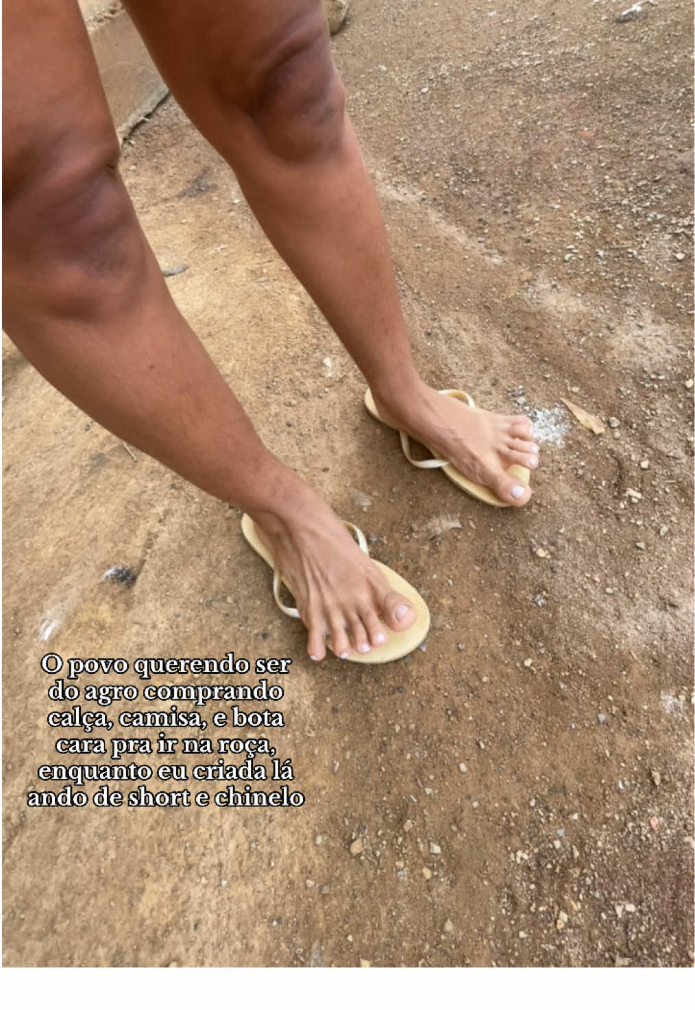 @monicadejatoba