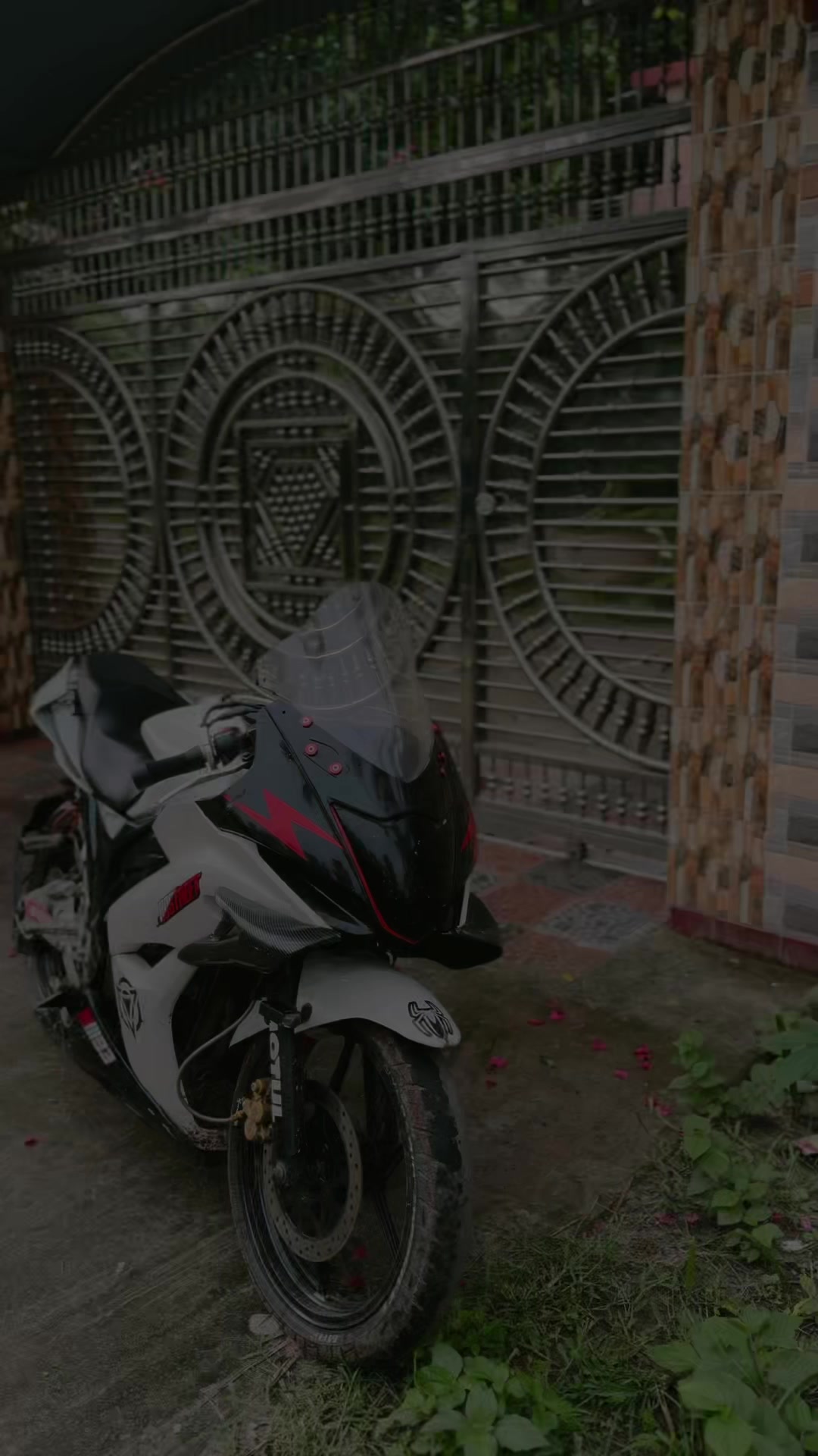 @ALAMIN BHAI 🚀