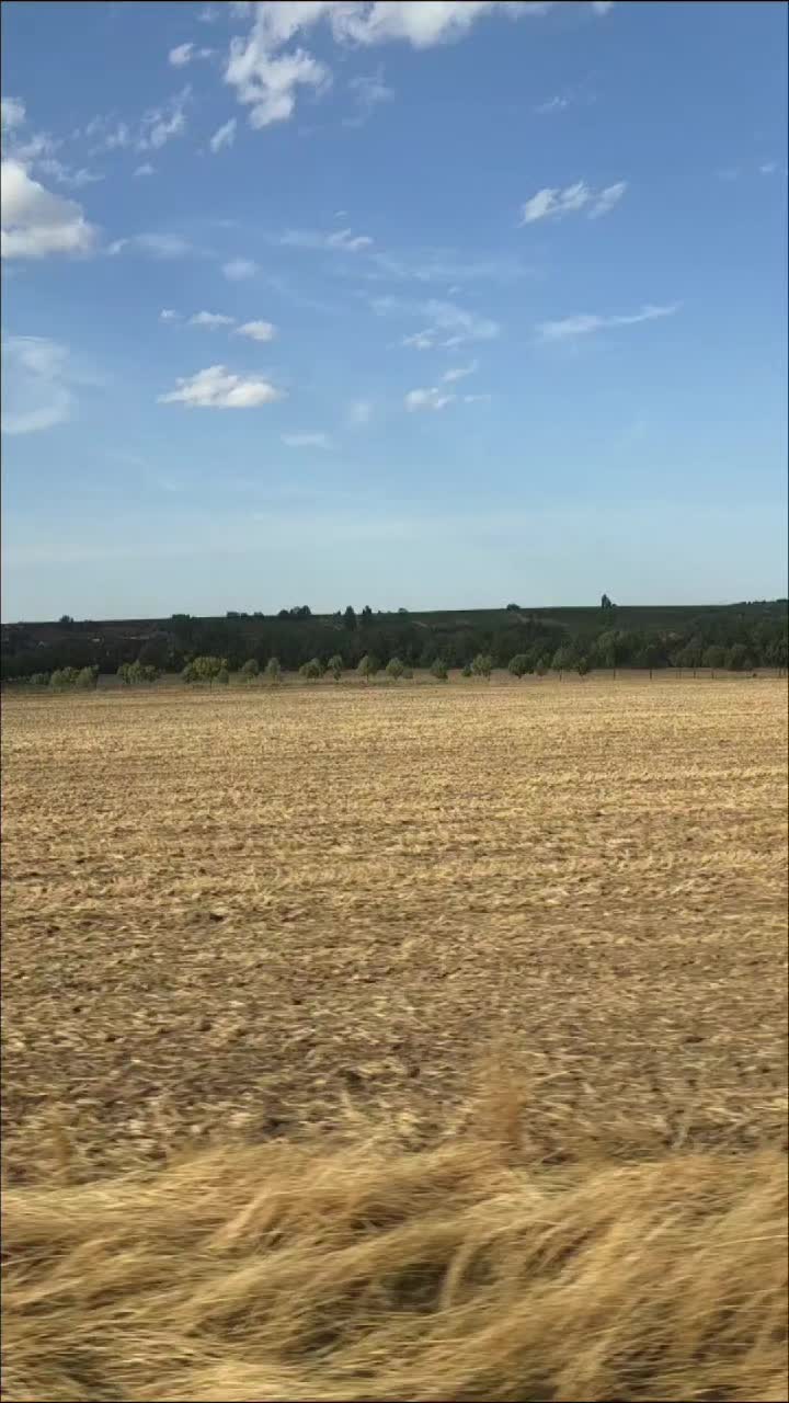 @Minir Sadiku Firajës