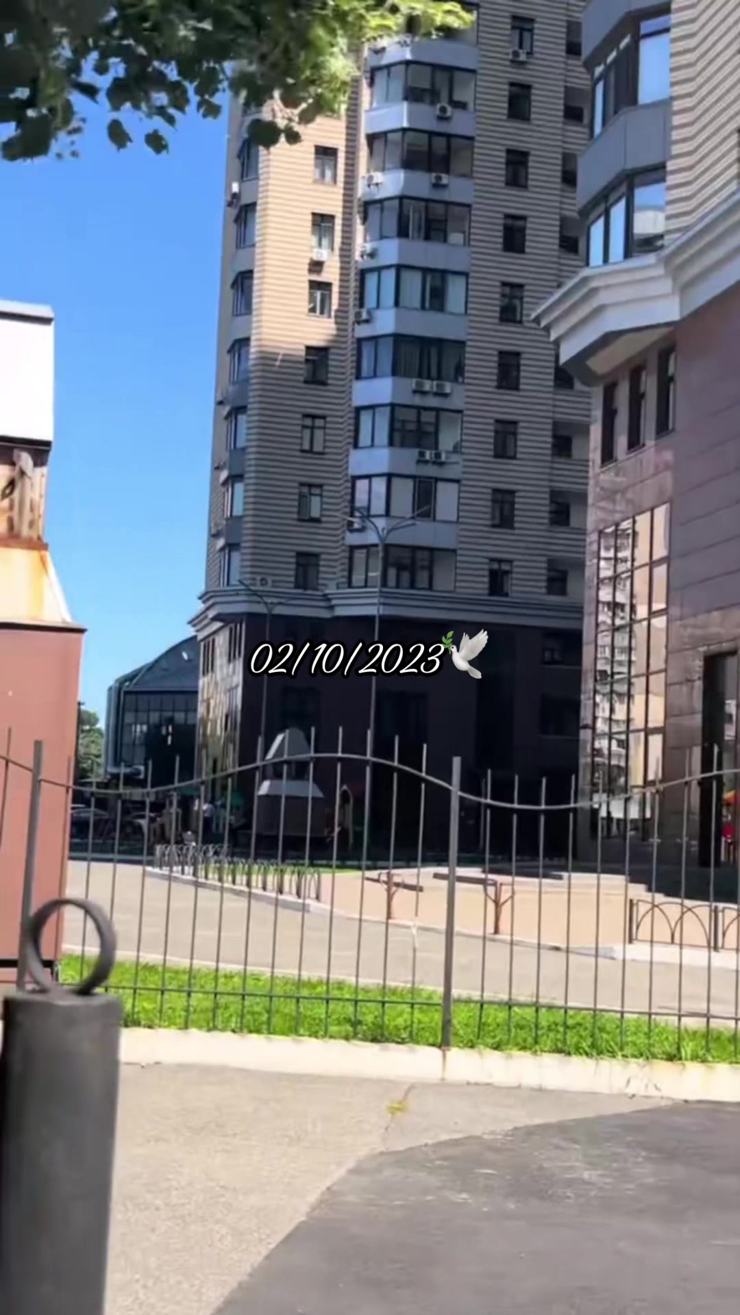 @Vika🤍Vova