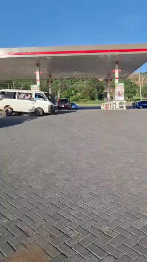 @tajiri safari