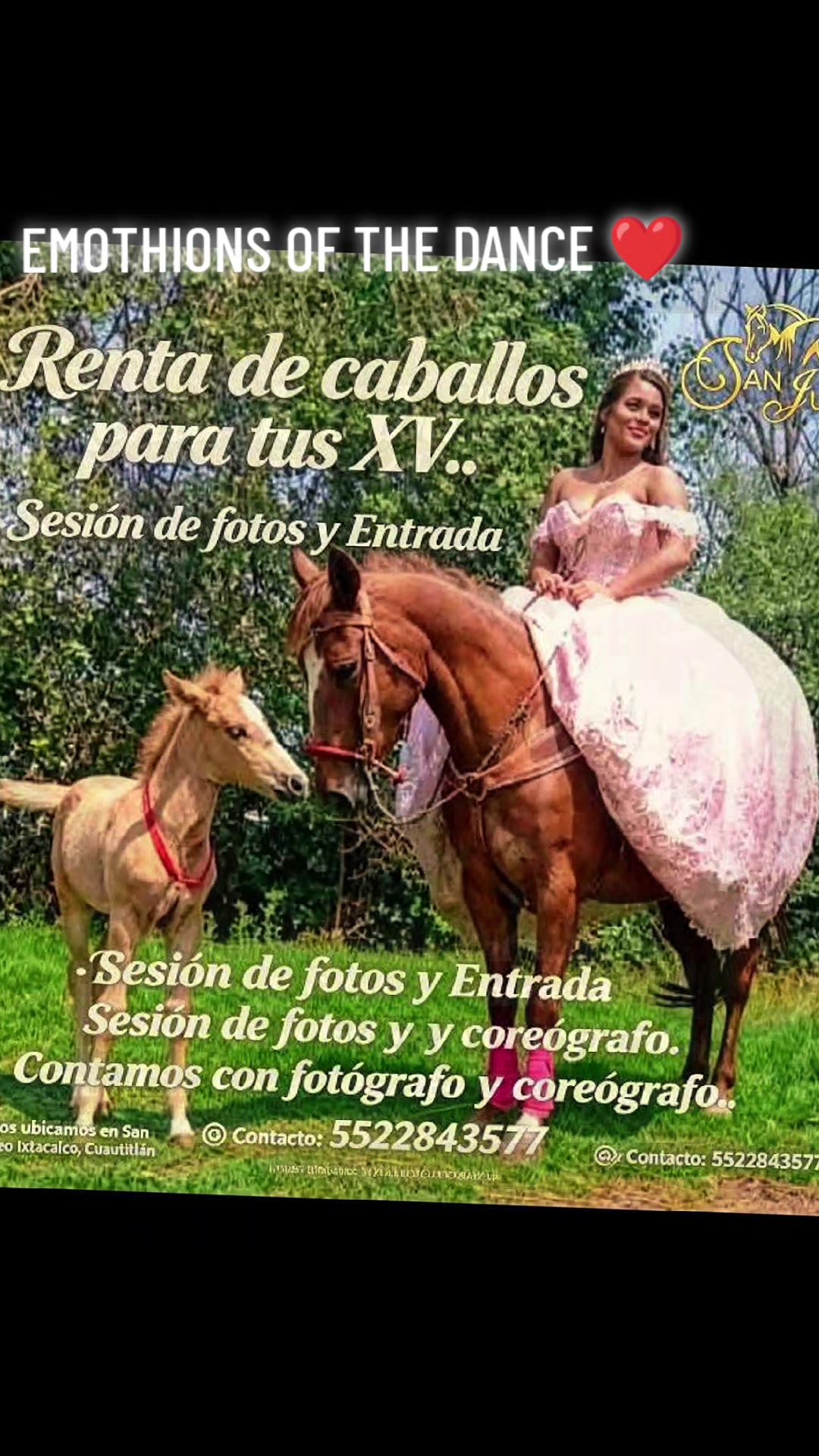 @joan Guzm&aacute;n ❤️