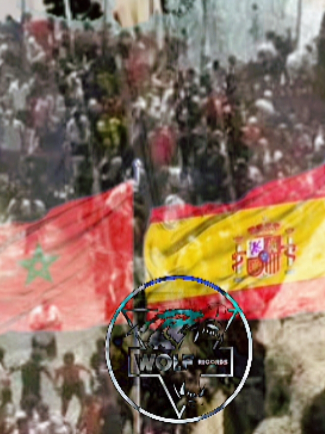@WOLF🎥DESIGNER2.0🇩🇿