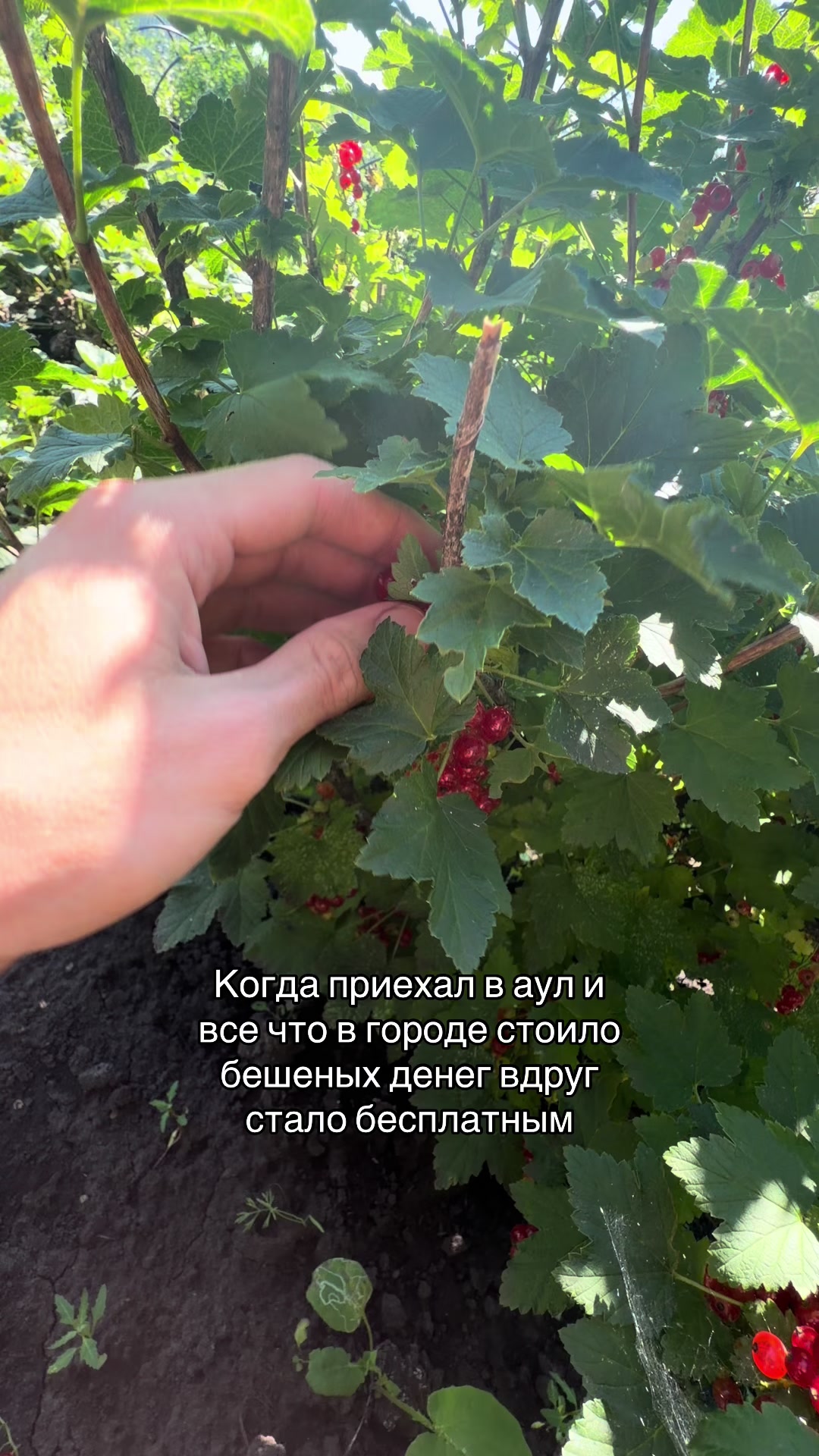 @Тгк: NeKUDRYASH