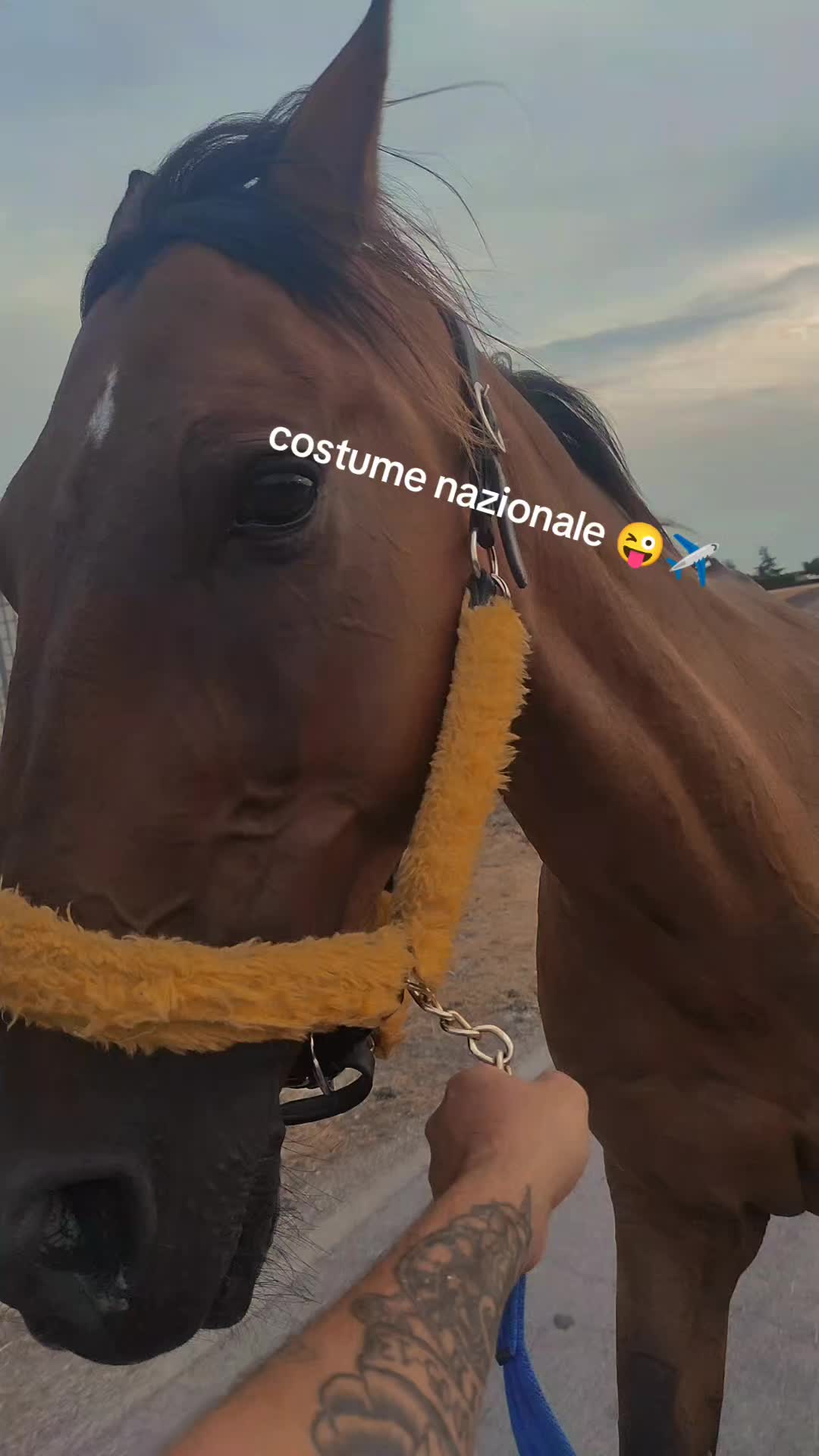 @ale_kekko_piserchia_28