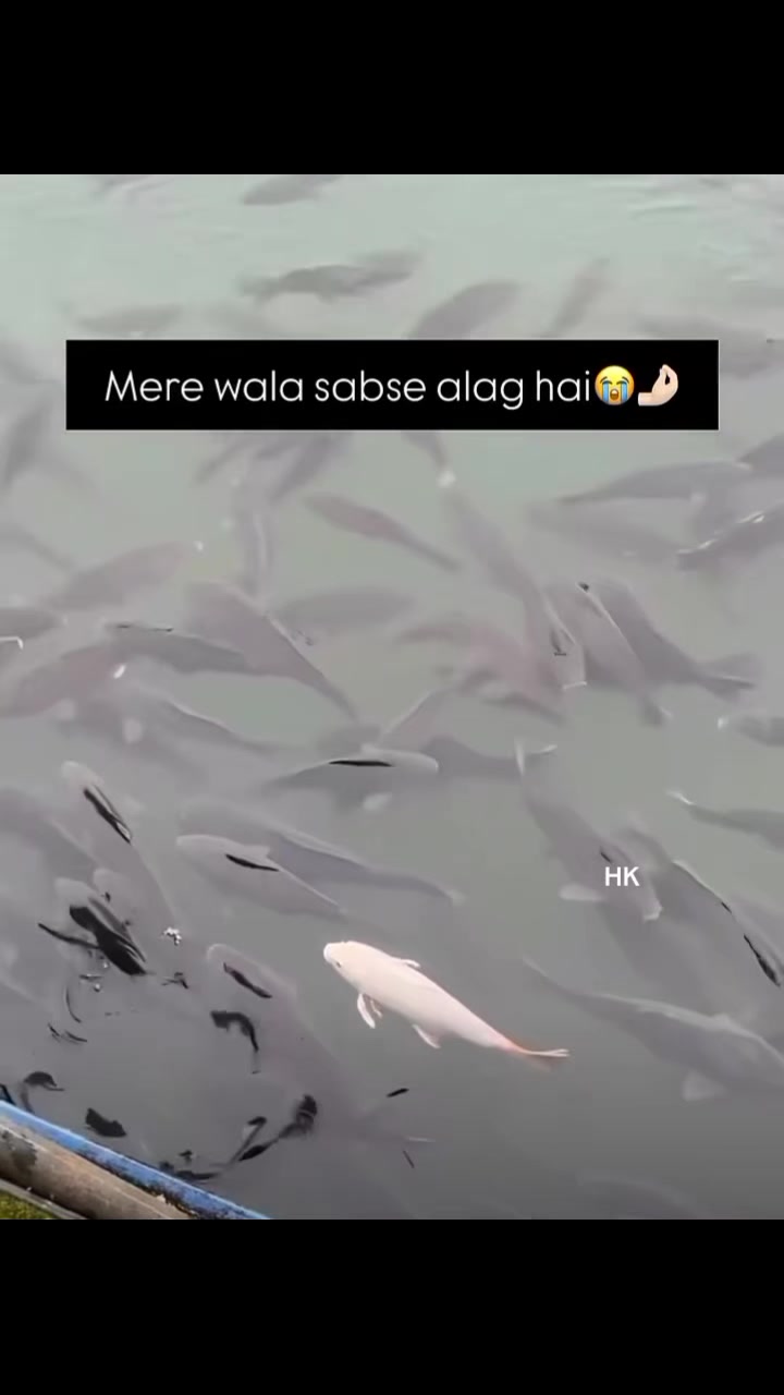 @𝙃𝙆