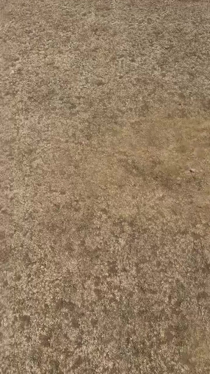 @TheClubCricket