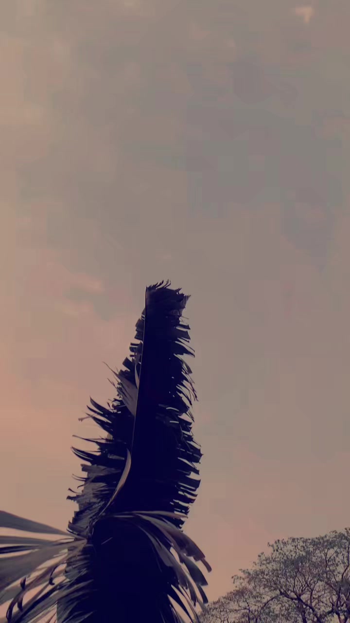 @d.s.thakuri