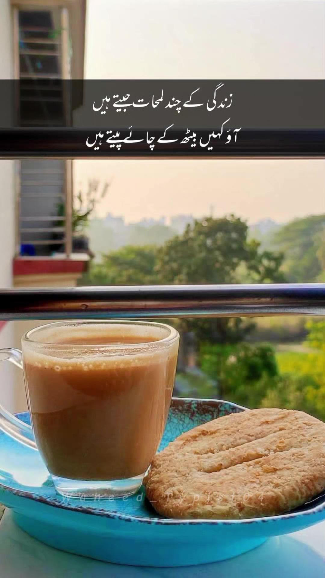 @Zunaira Gill