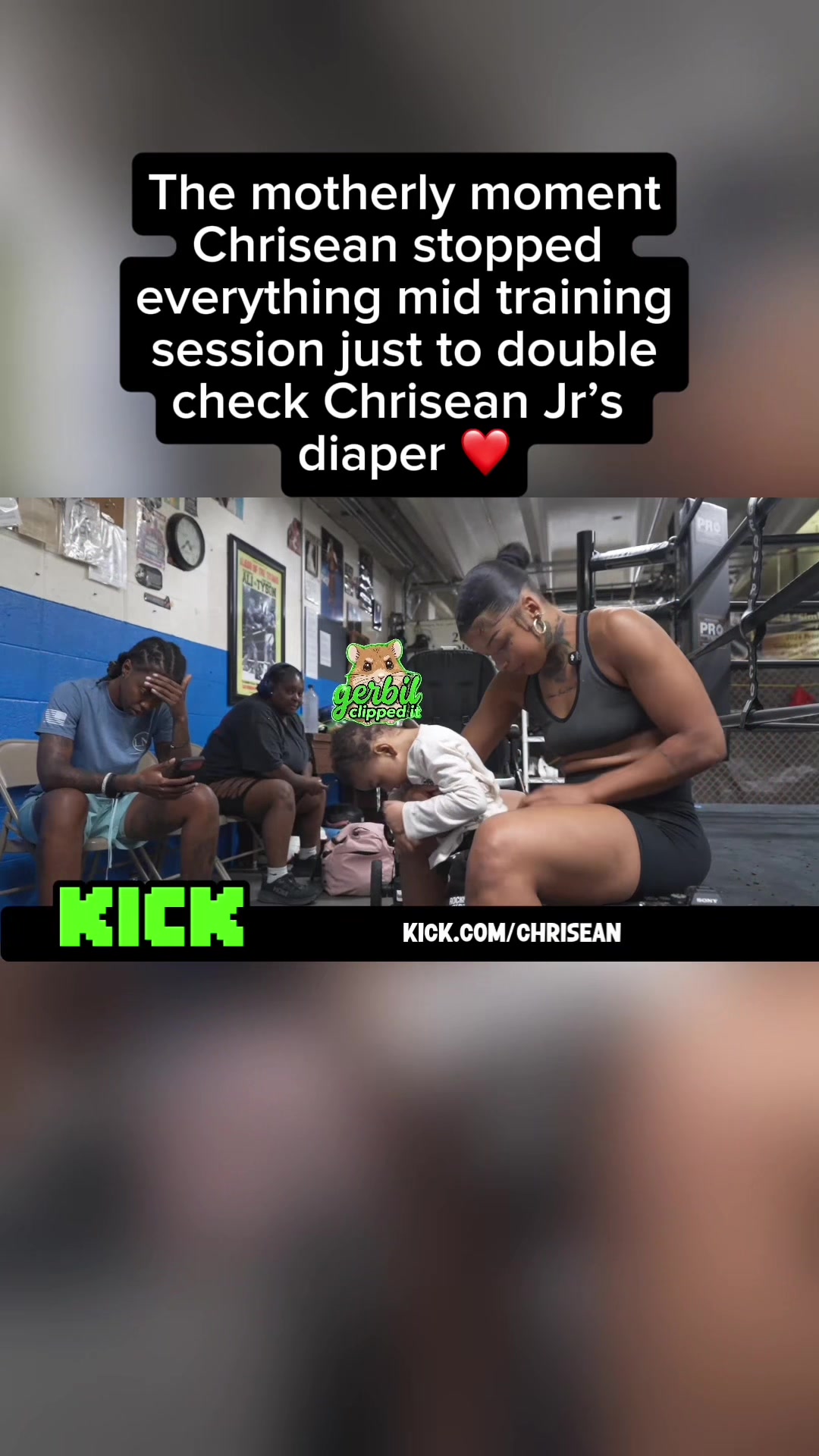 @gerbilclippedit