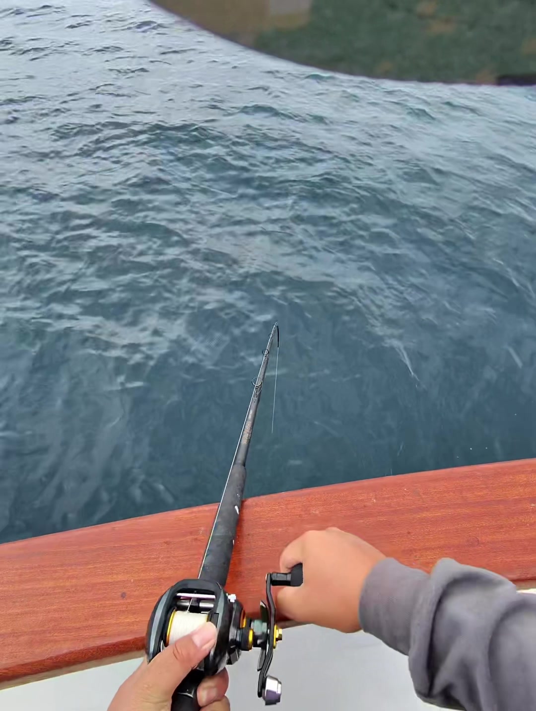 @matt.fishh