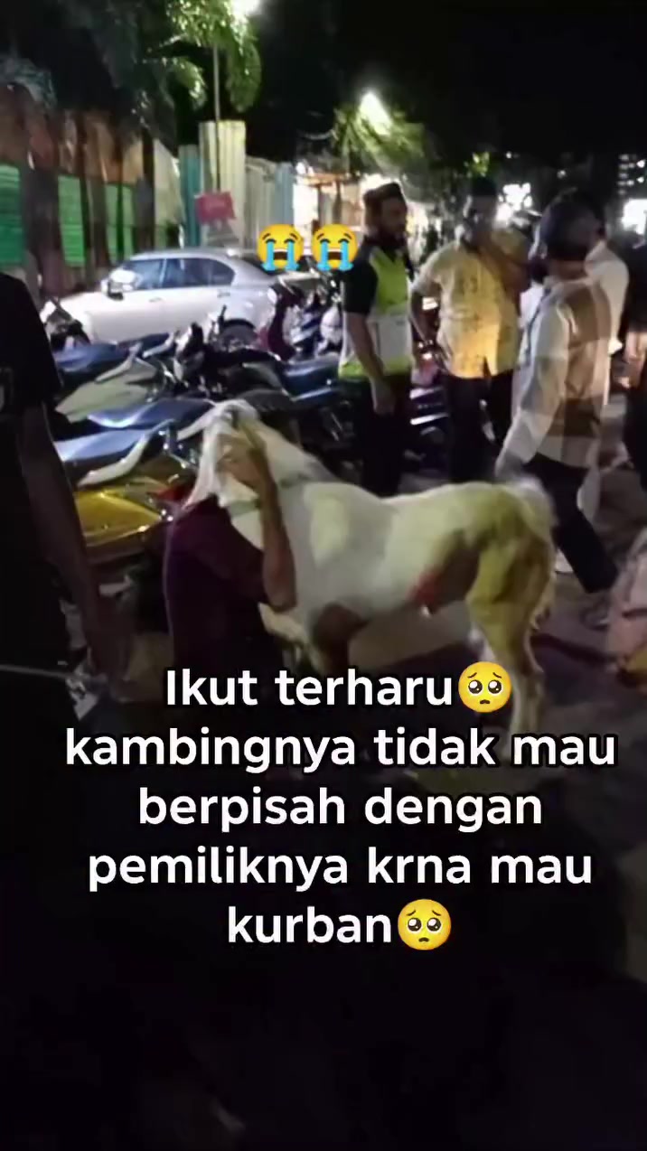 @Gemoy17