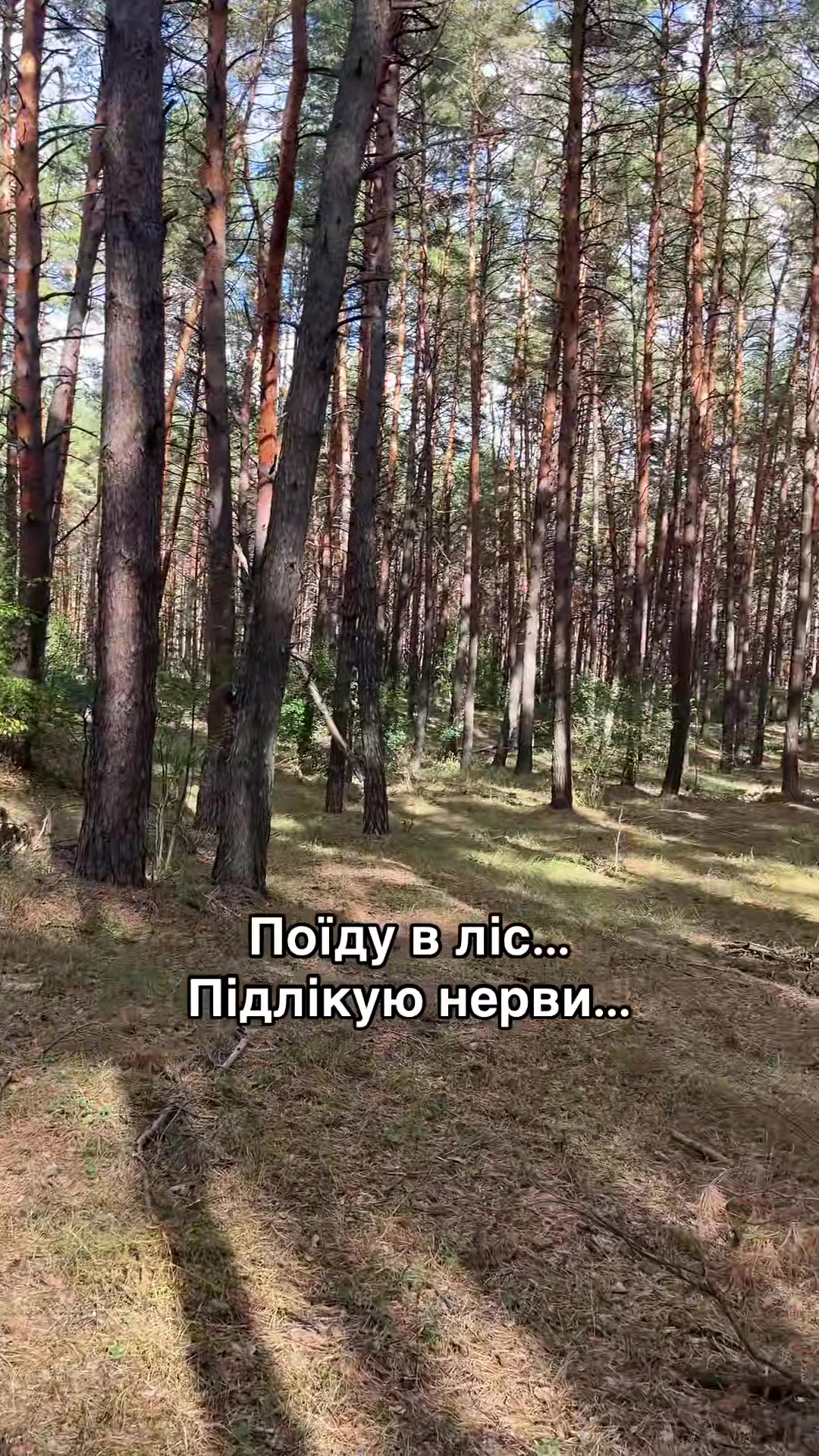 @🇺🇦Сімʼя Зубів🇺🇦