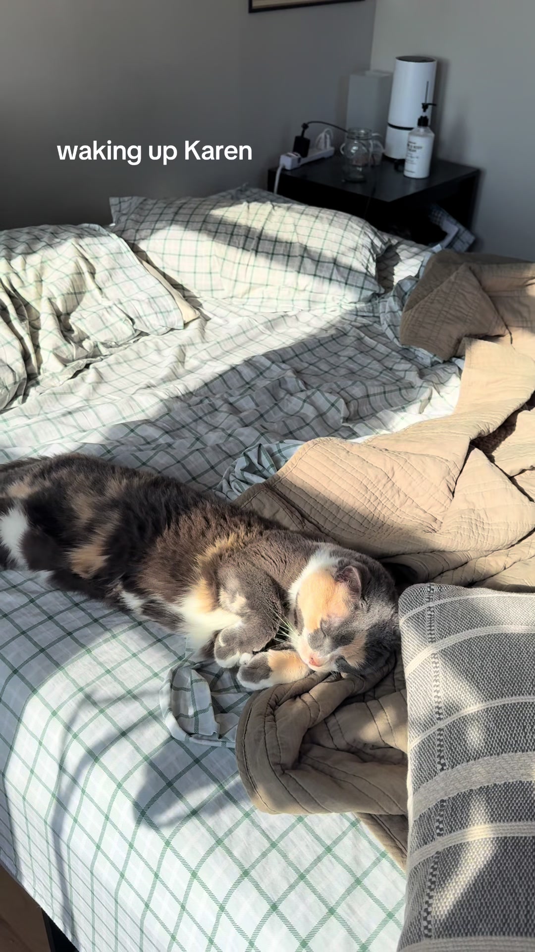 @Cat