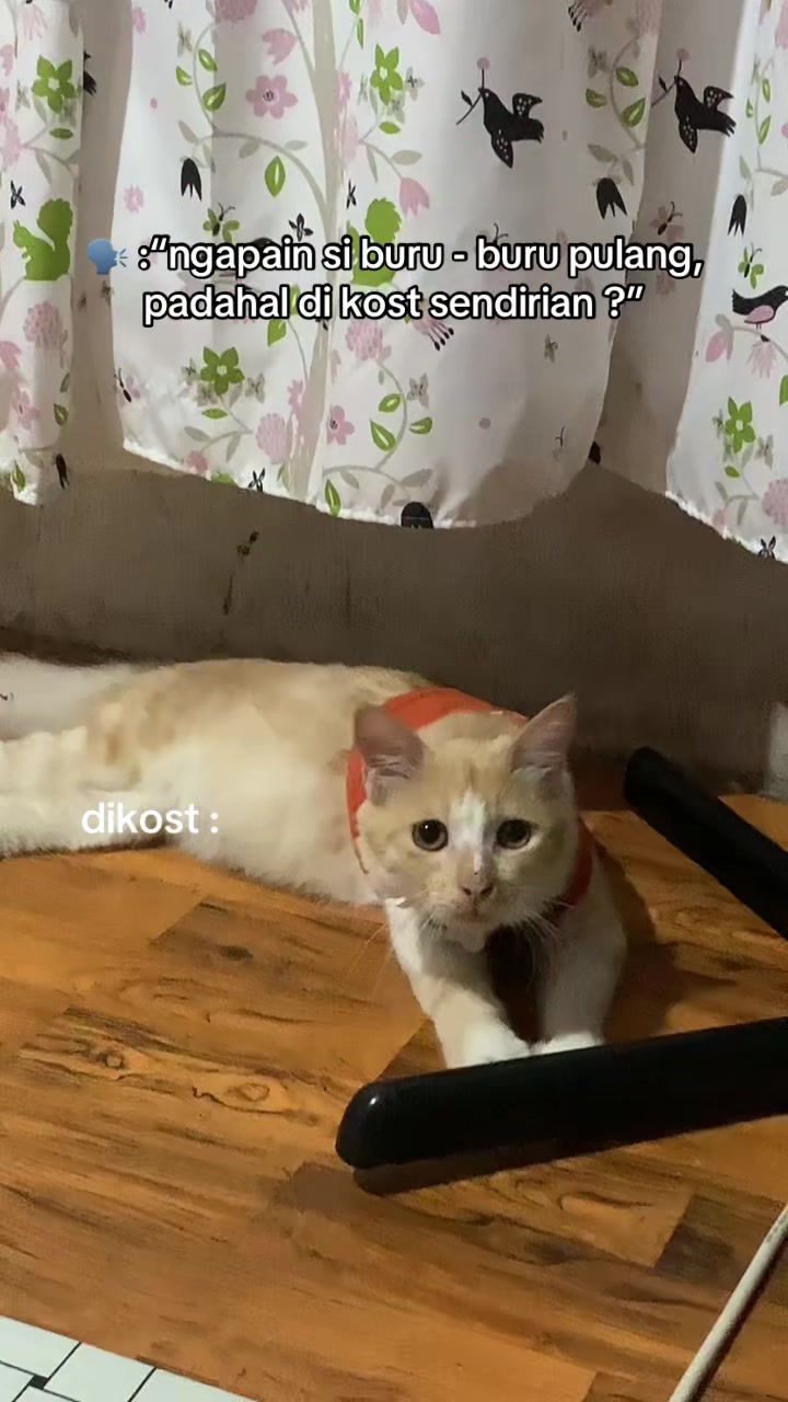 @Panggil ana aja 😙