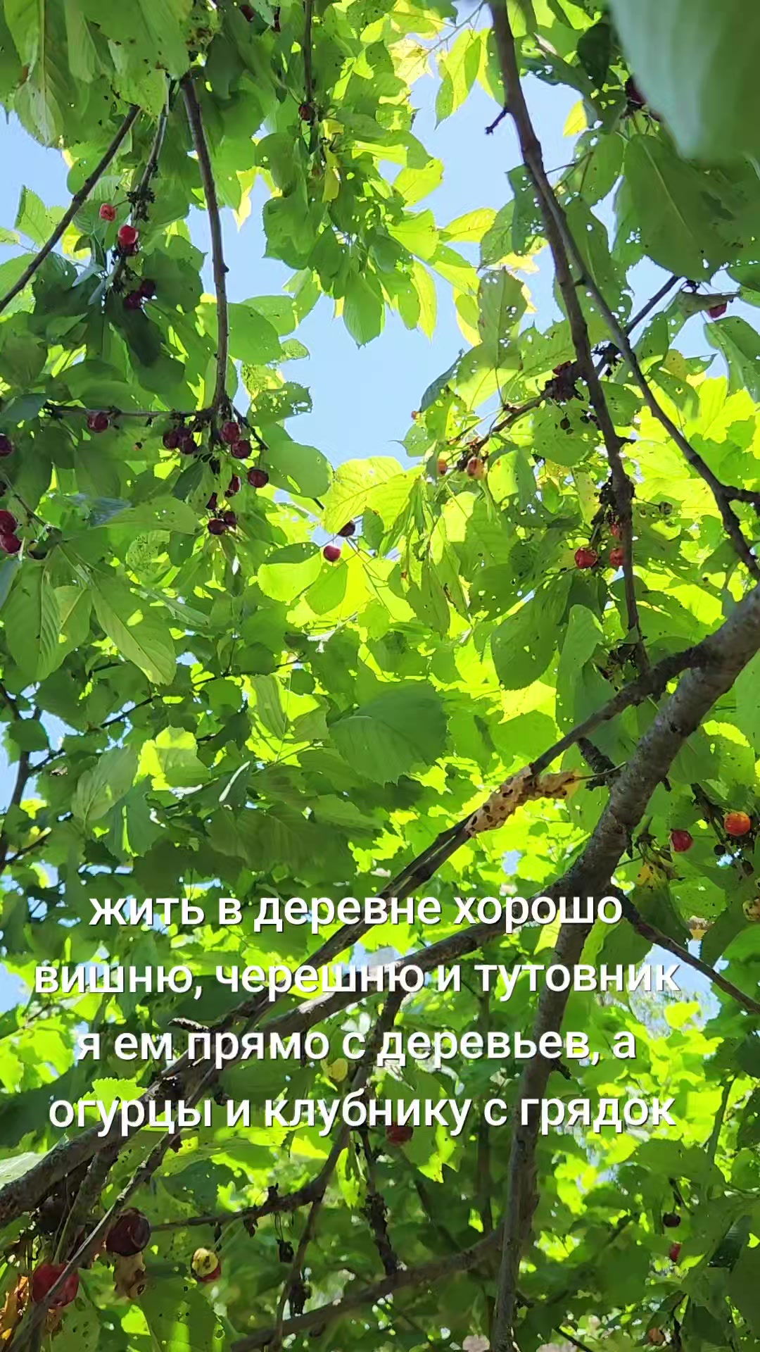 @лизка
