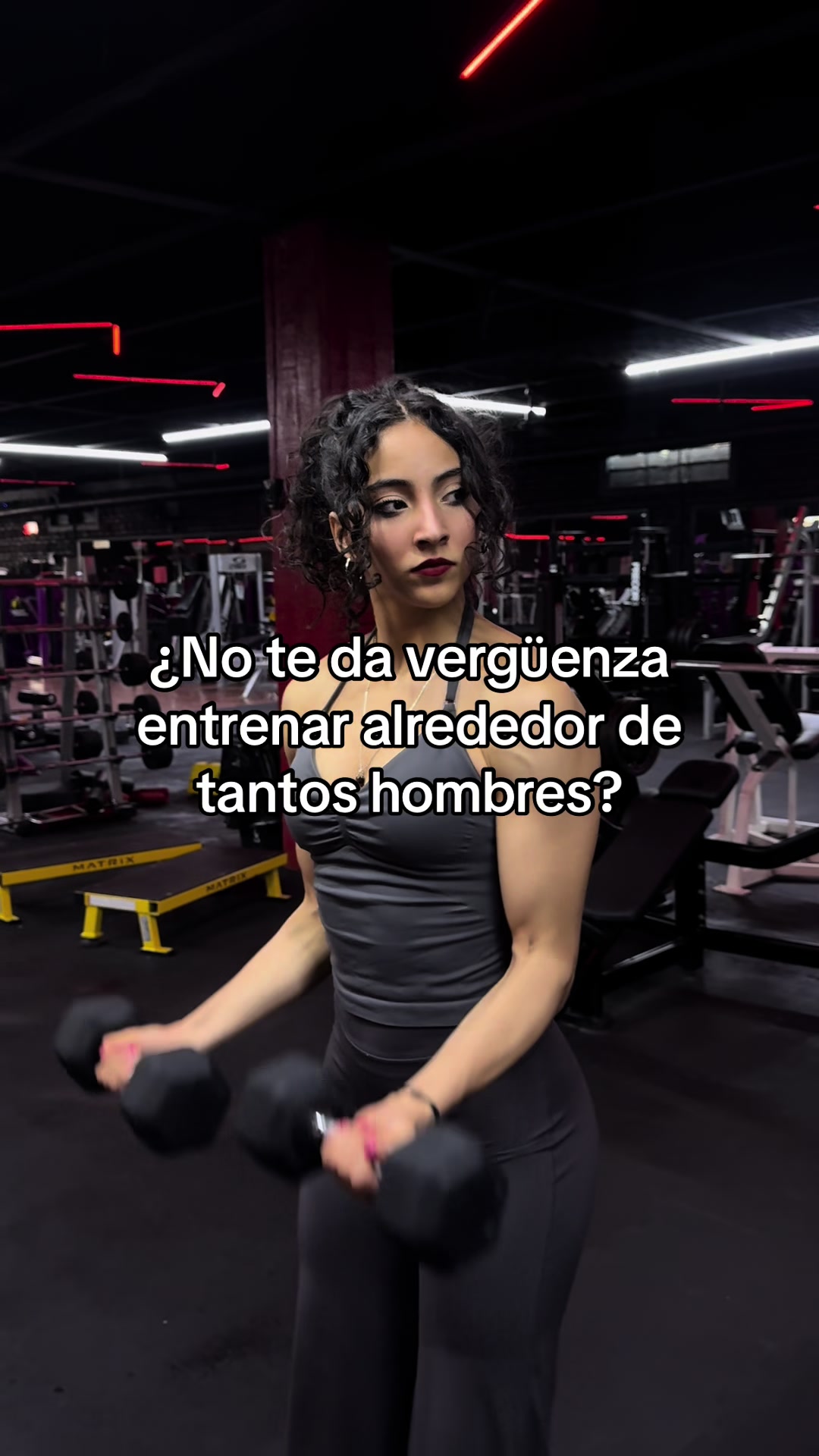 @ilseecr
