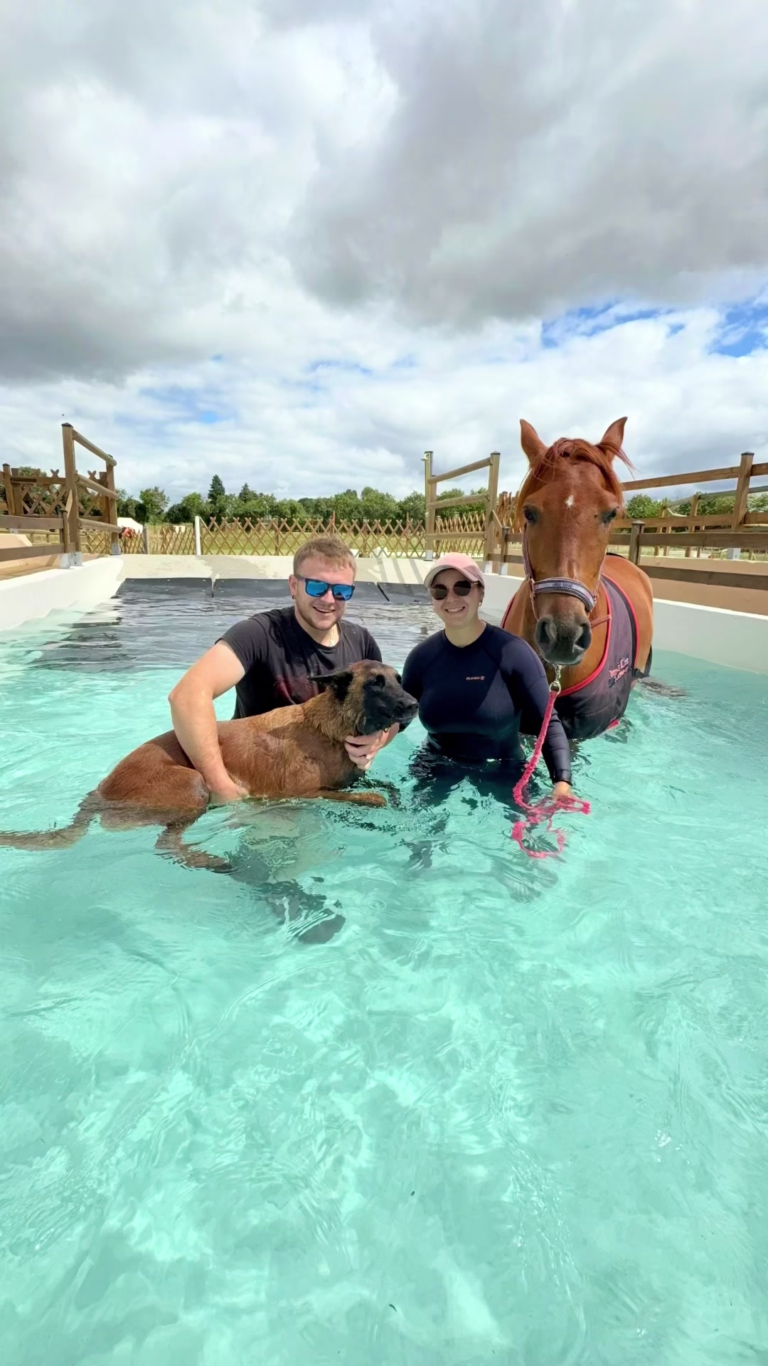 @Centre BienEtre Equin & Canin