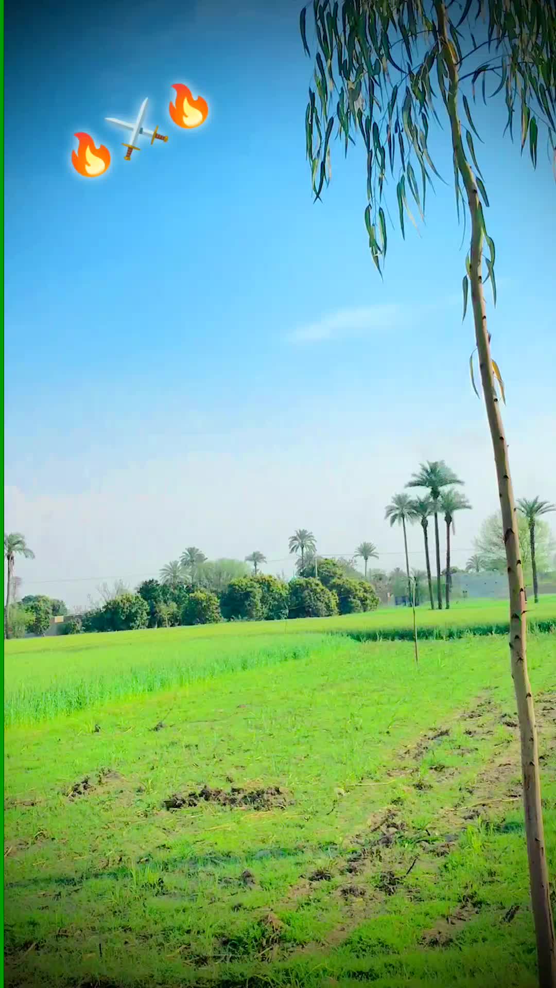 @اجمل سگو ♥️💔💜💯💘🖤💟💌💔