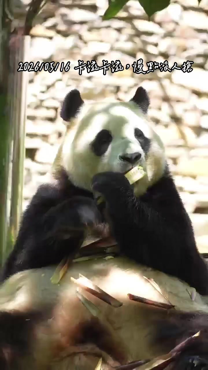 @福寶需要愛的抱抱